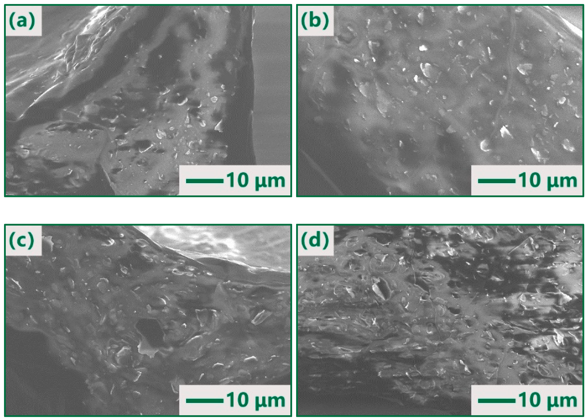 Polymers 14 03273 g002