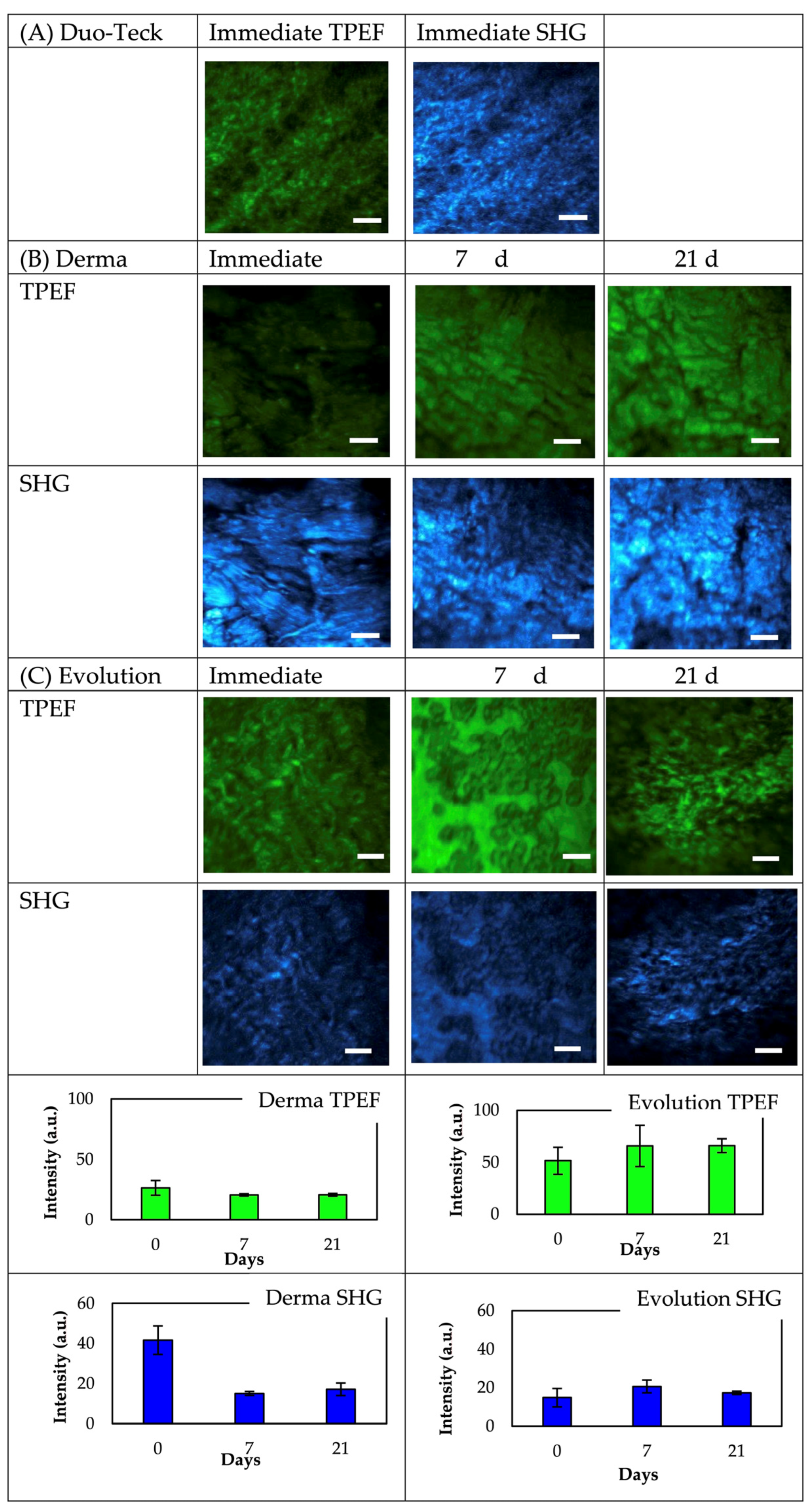 Polymers 14 03274 g005