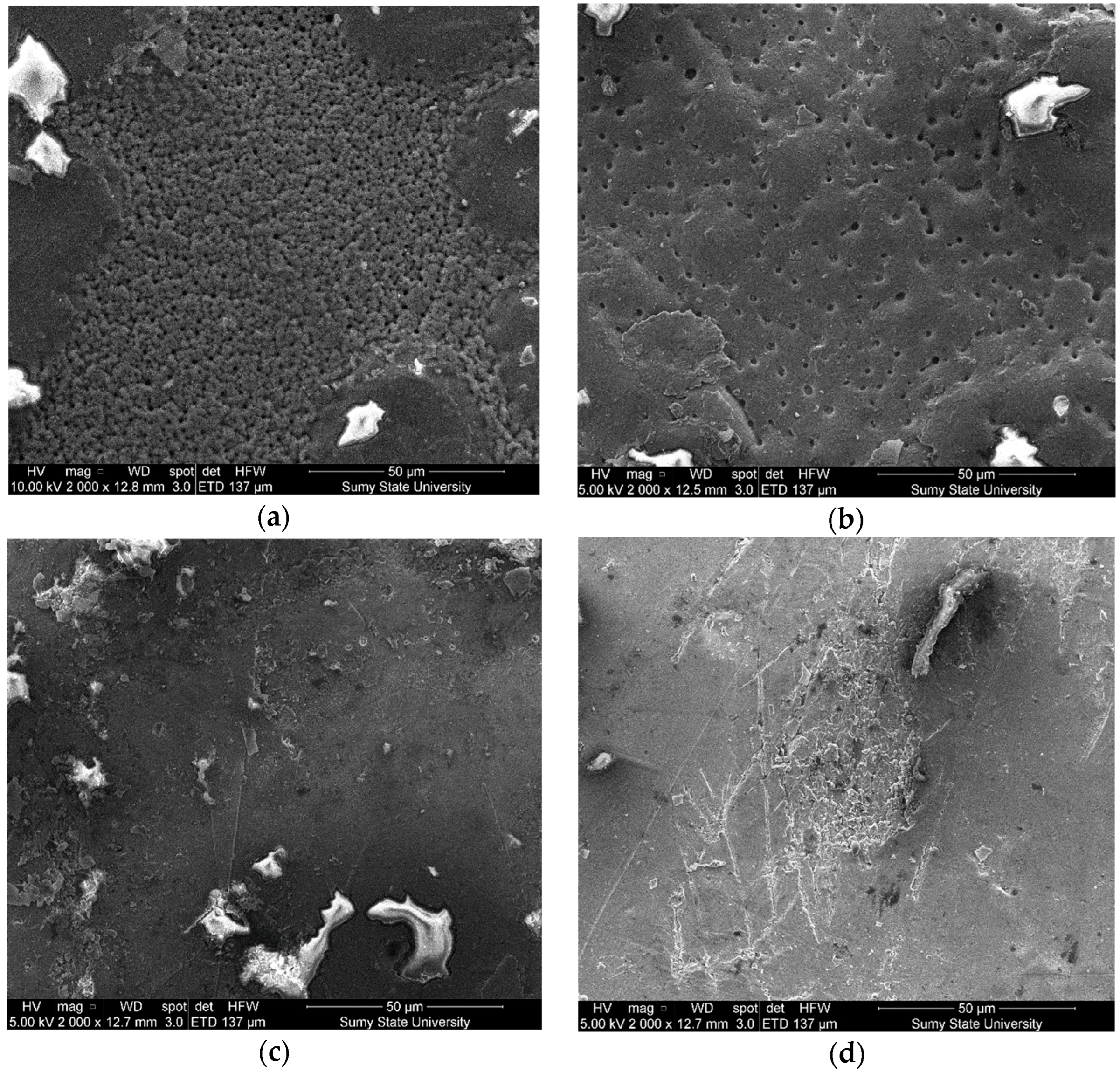 Polymers 14 03275 g009