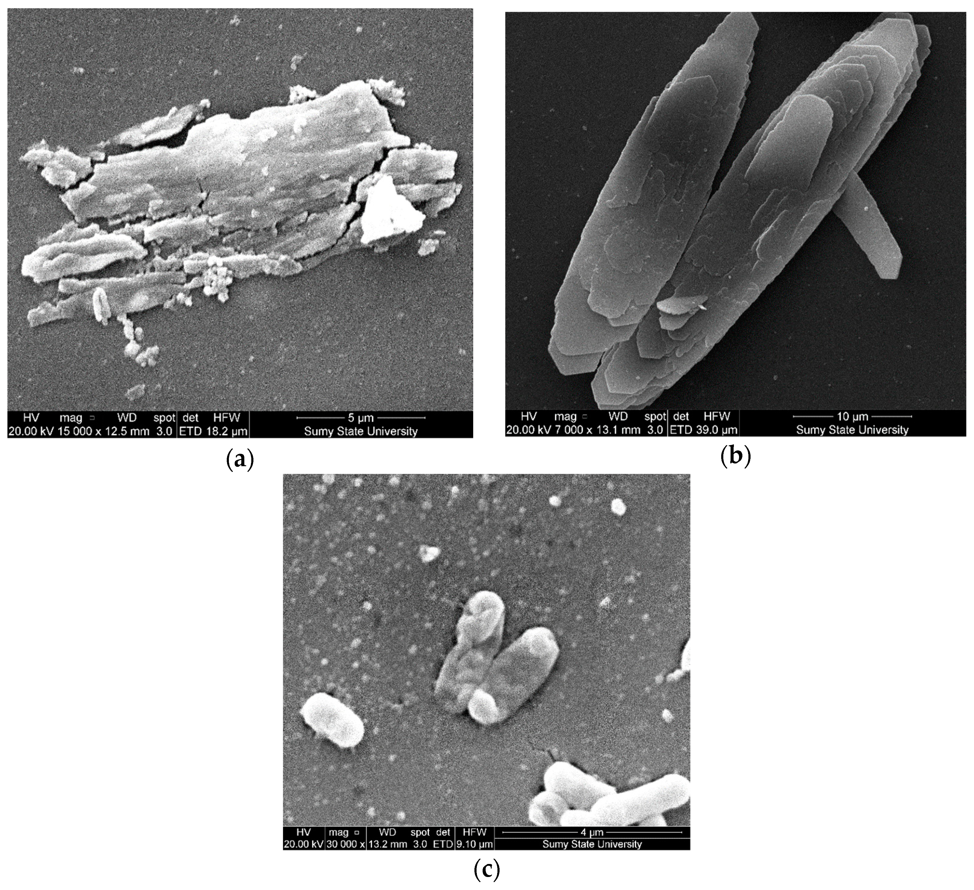 Polymers 14 03275 g016