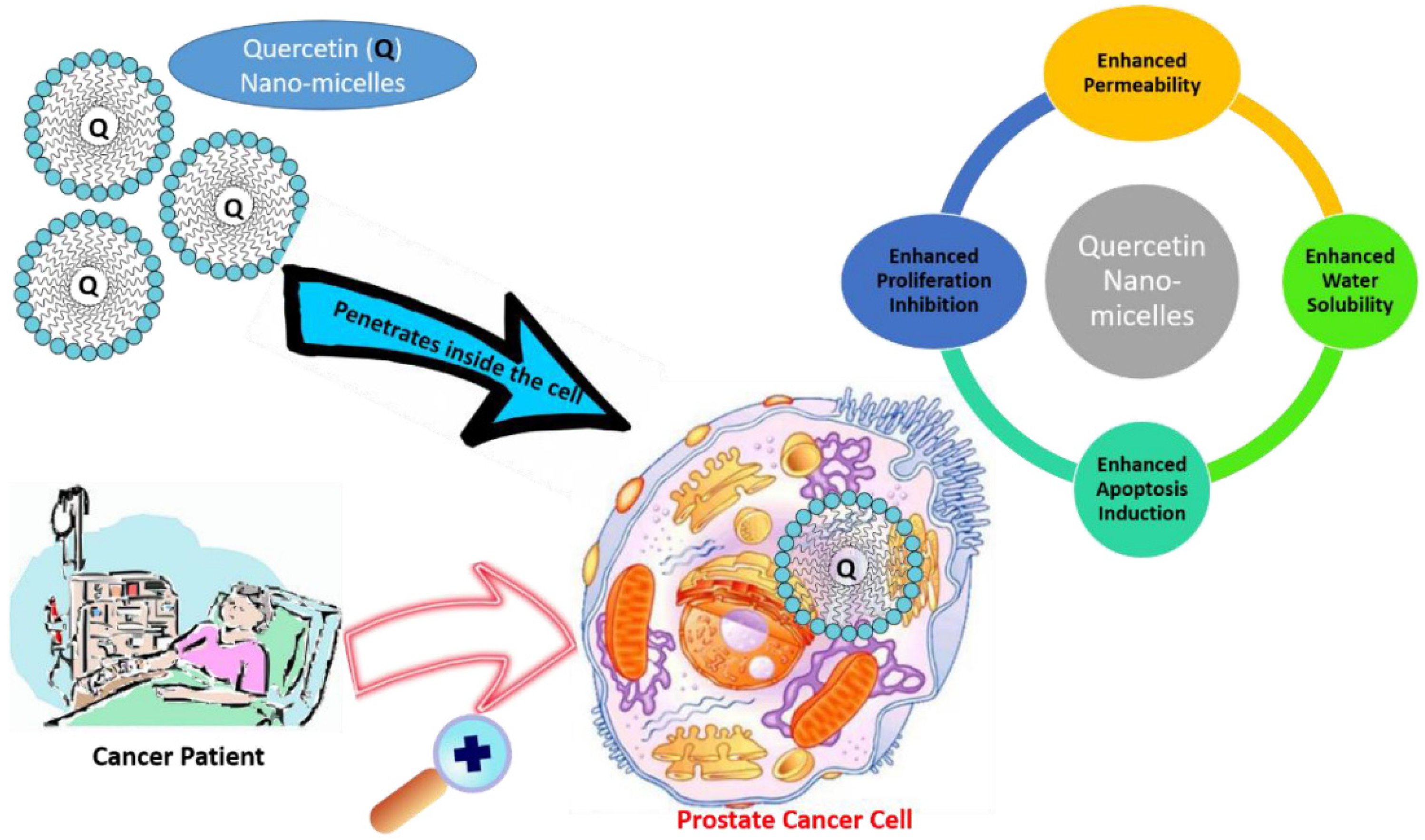 Polymers 14 03278 g005 Polymers 14 03278 g005