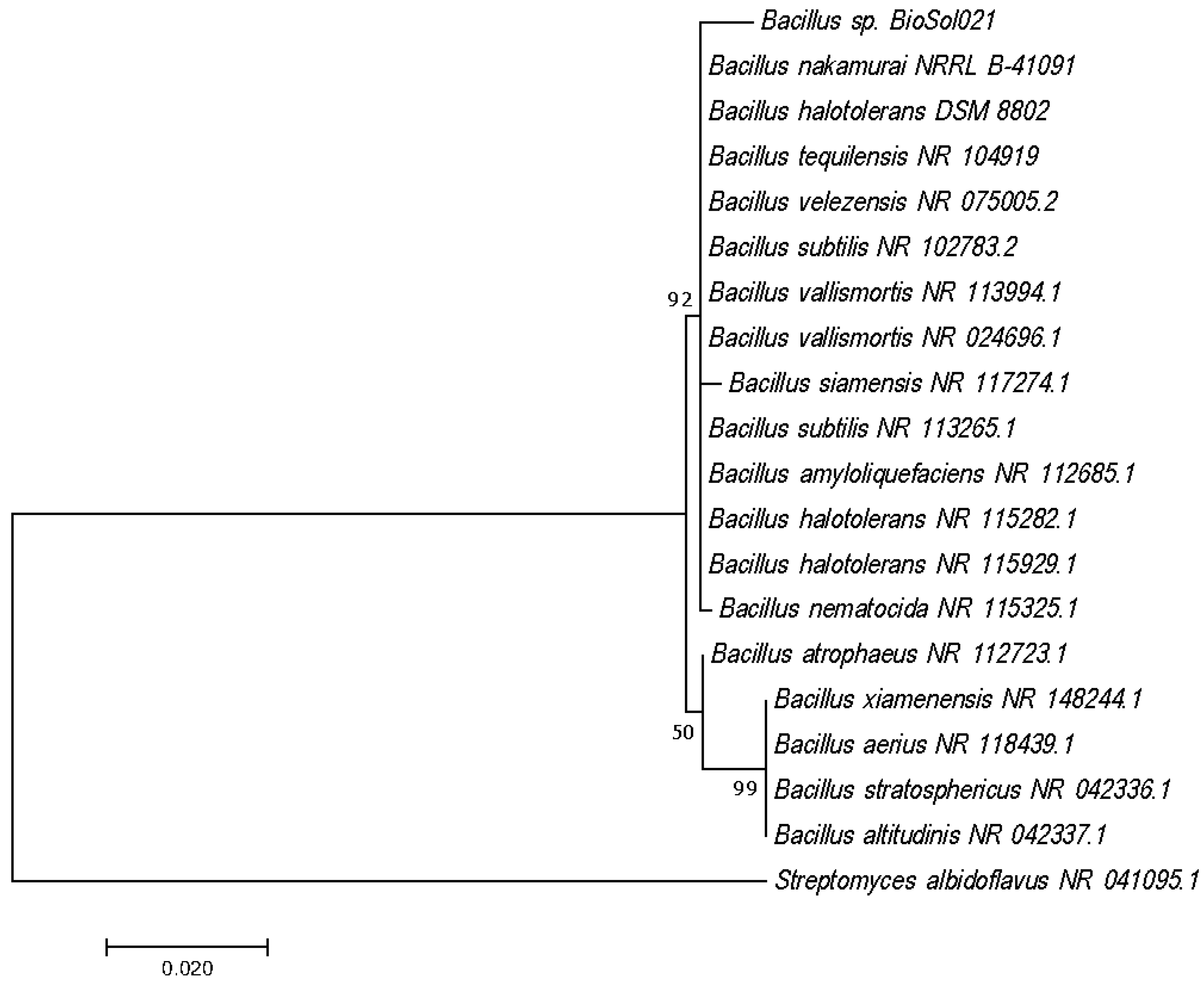 Polymers 14 03282 g001 550