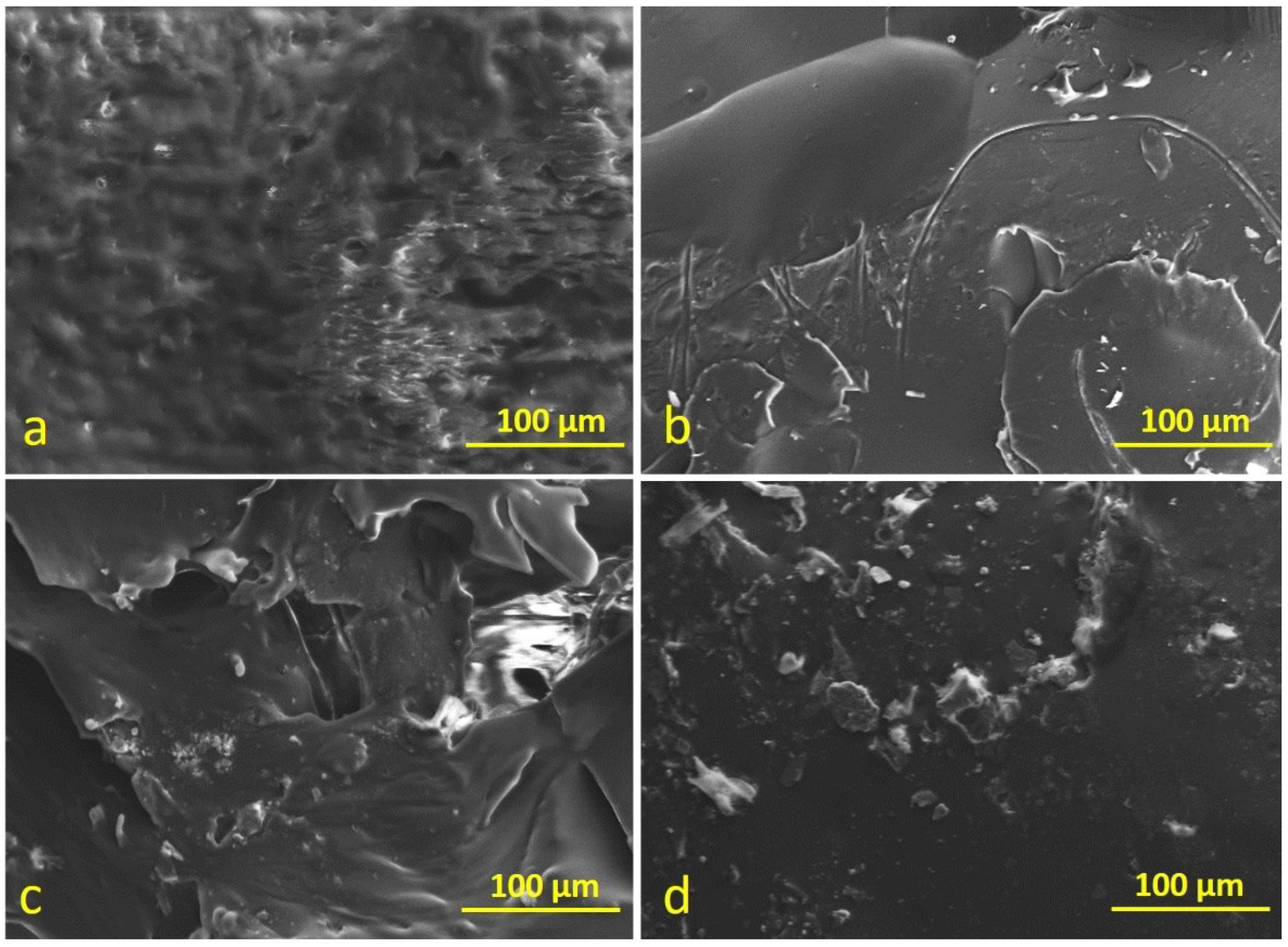 Polymers 14 03283 g014 550