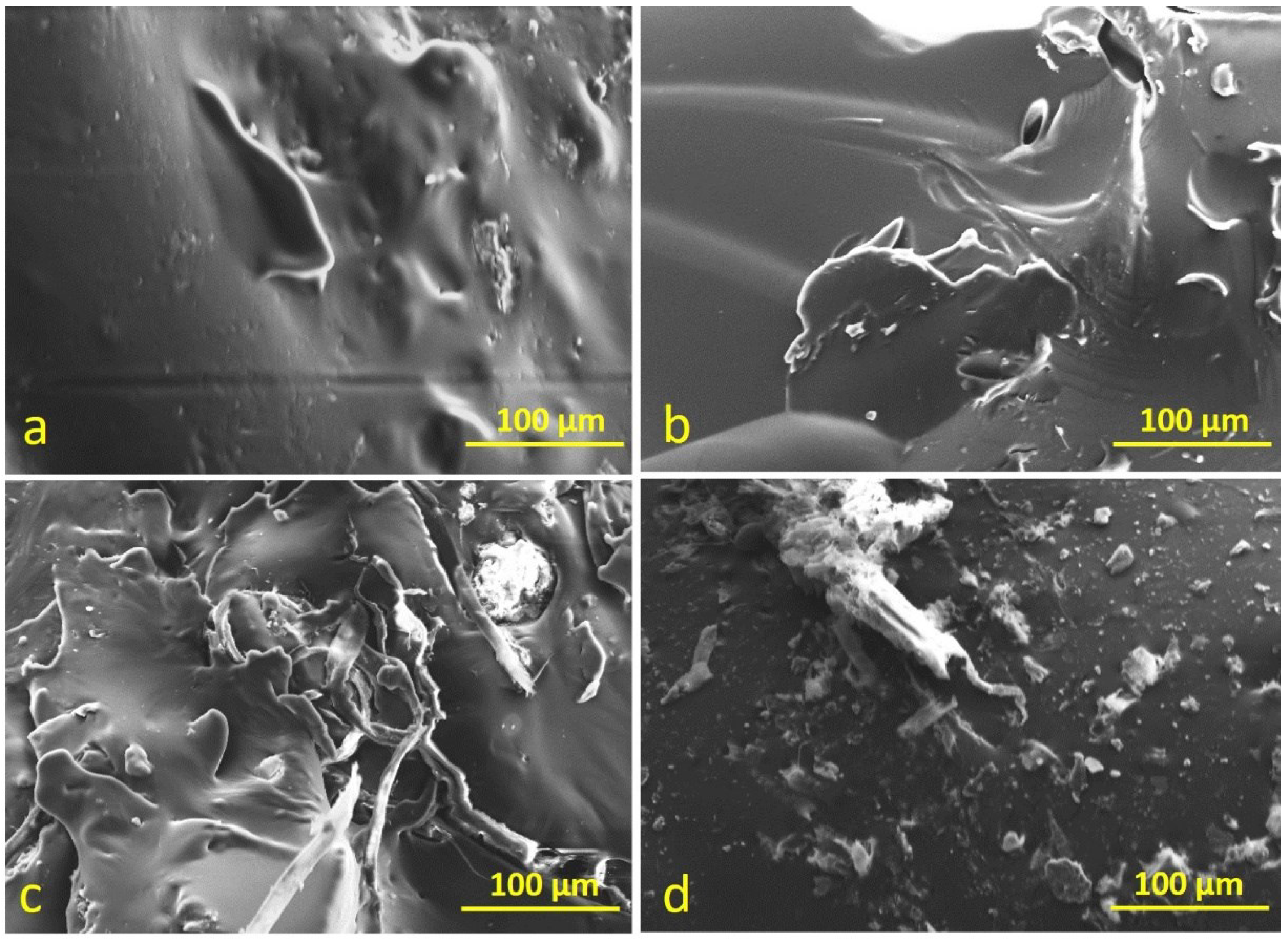 Polymers 14 03283 g015 550
