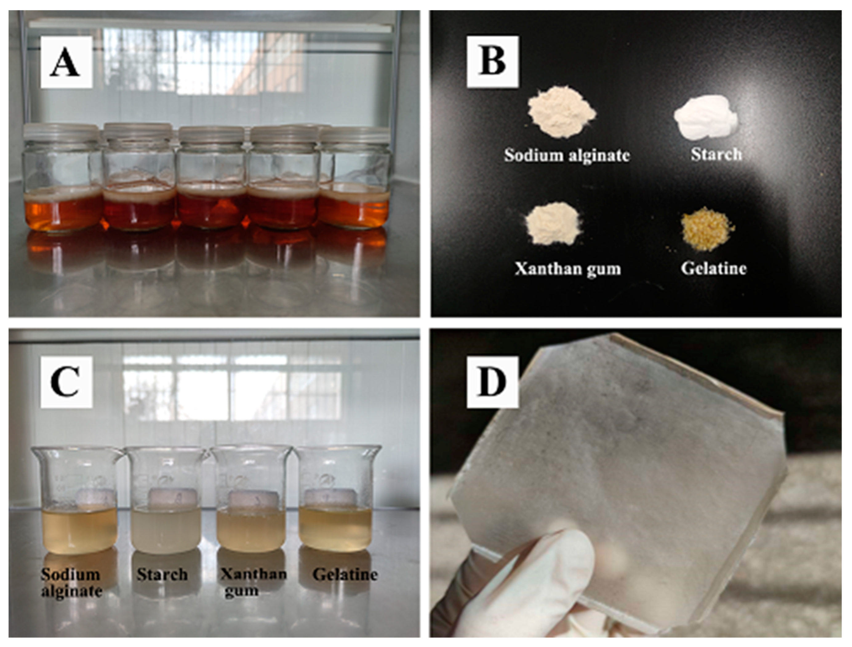 Polymers 14 03286 g001