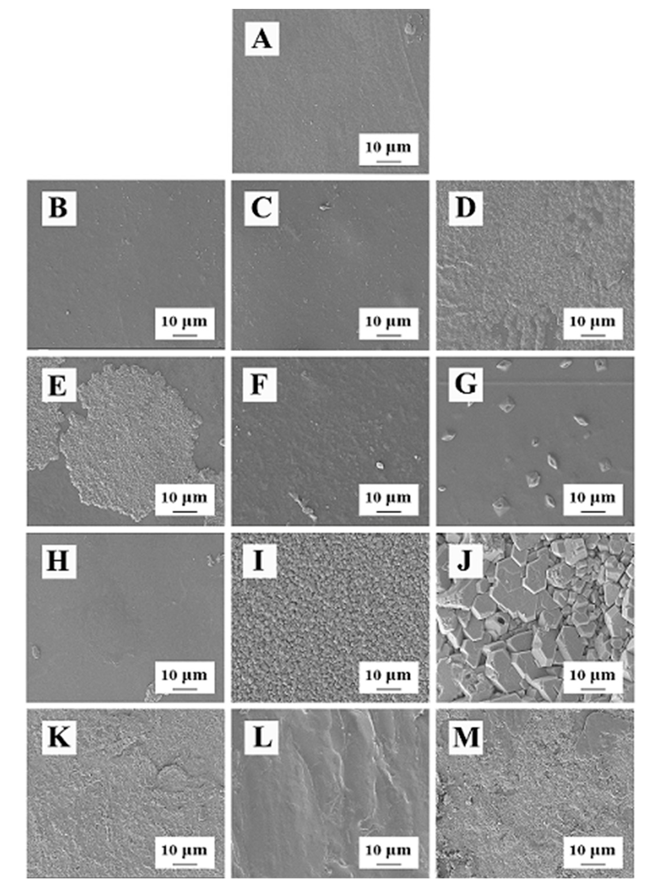 Polymers 14 03286 g002
