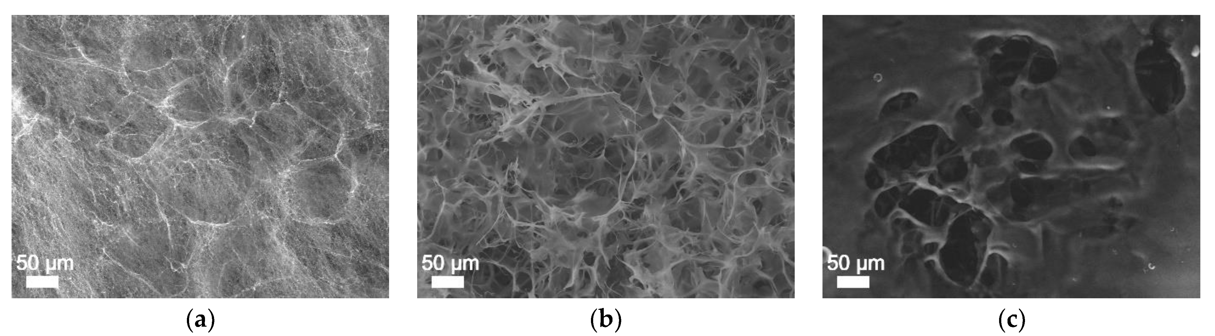 Polymers 14 03290 g009a