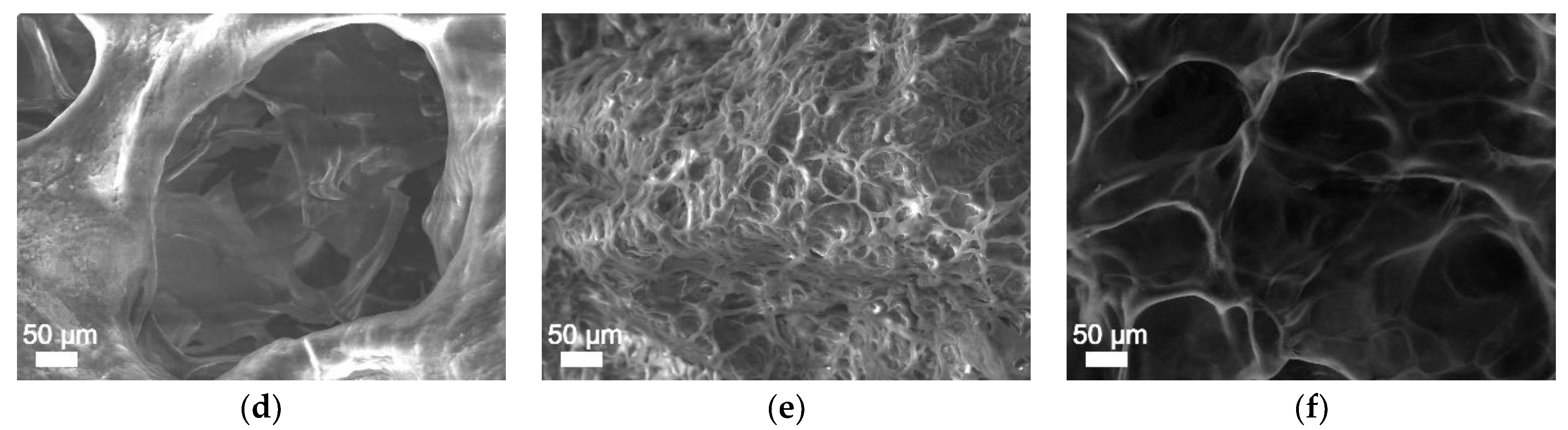 Polymers 14 03290 g009b