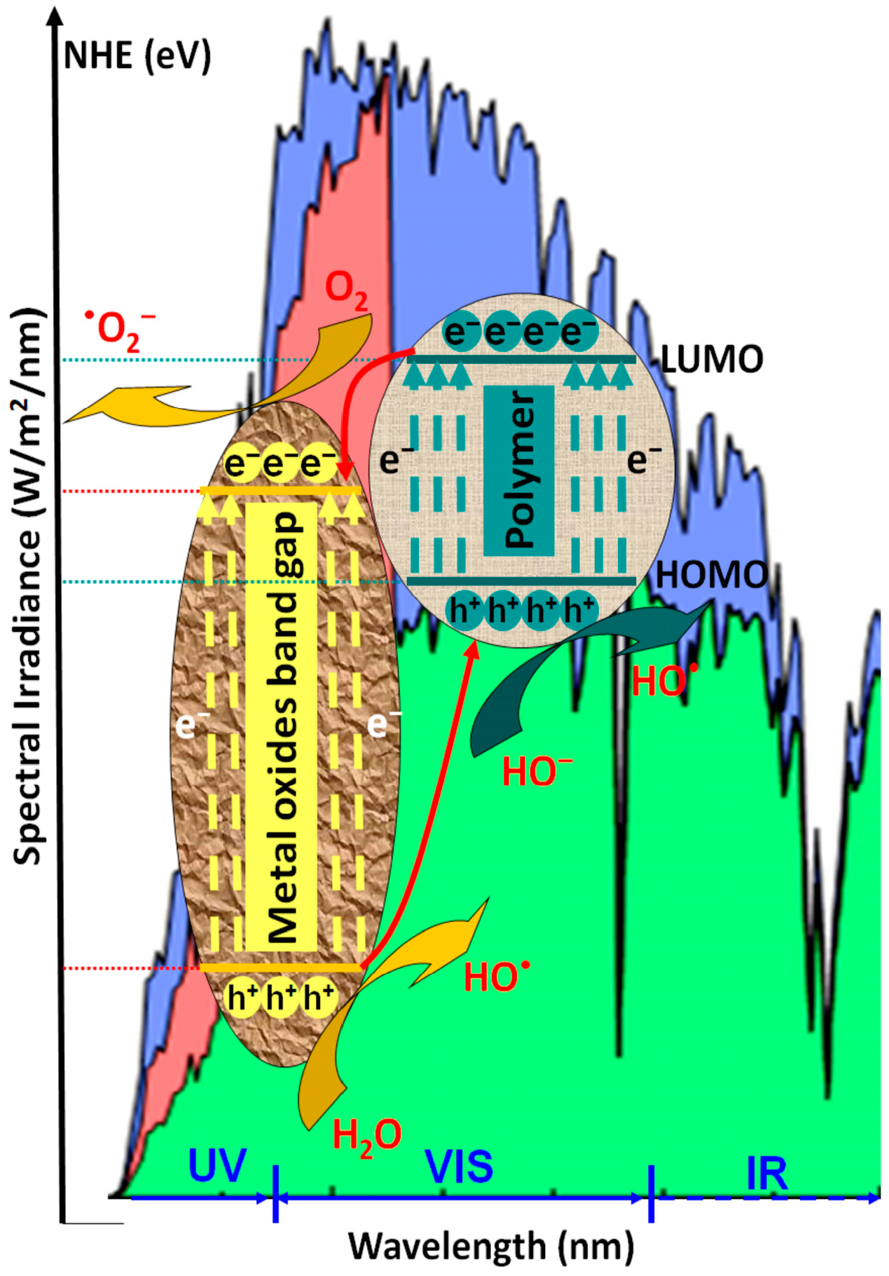 Polymers 14 03291 g001