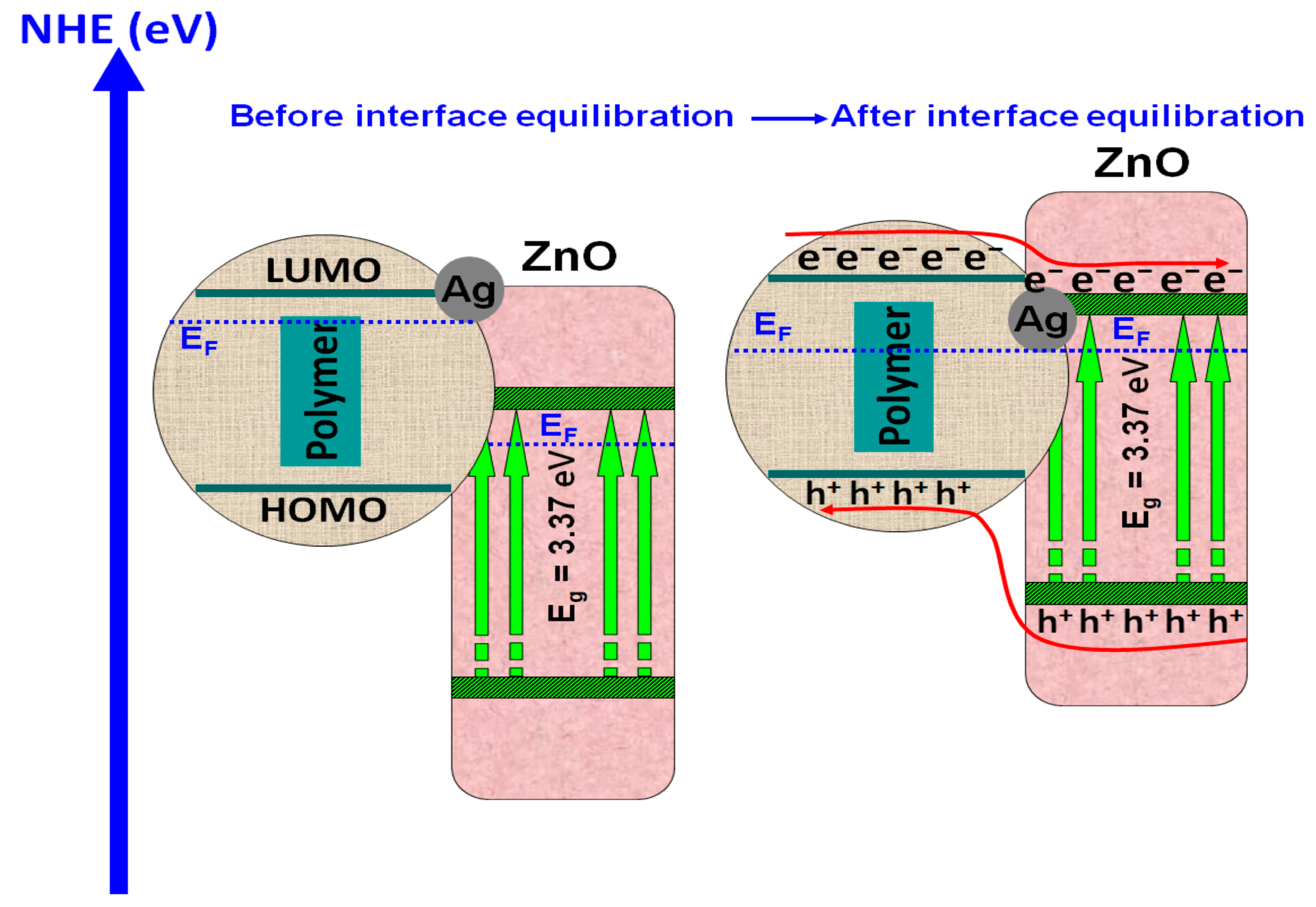 Polymers 14 03291 g003