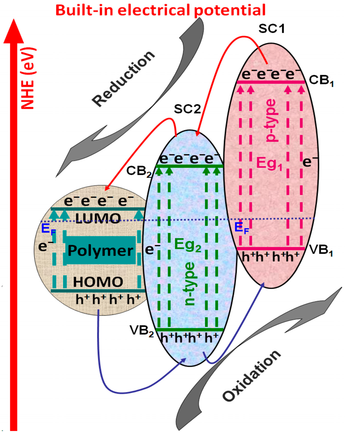 Polymers 14 03291 g004