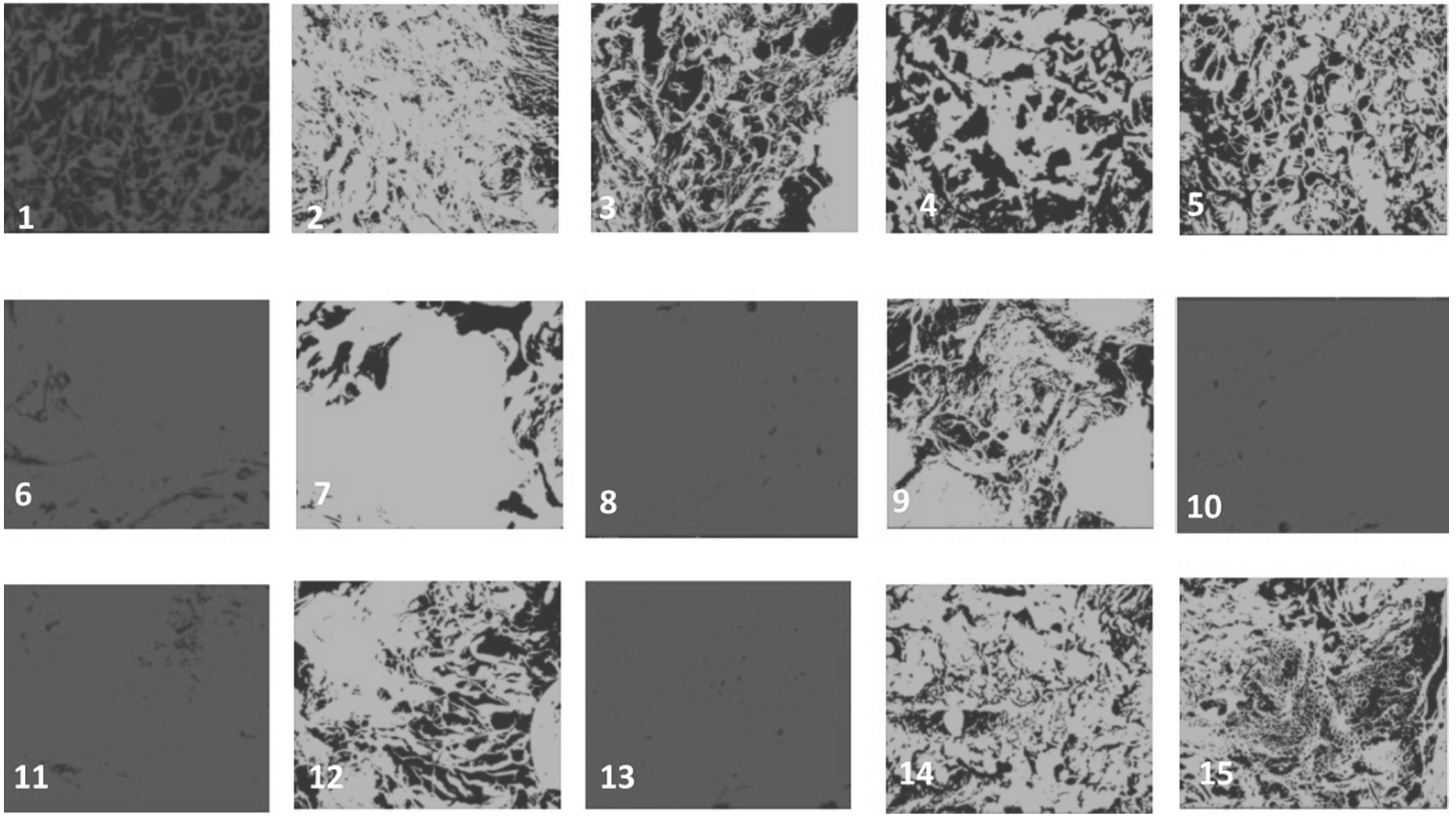 Polymers 14 03292 g006