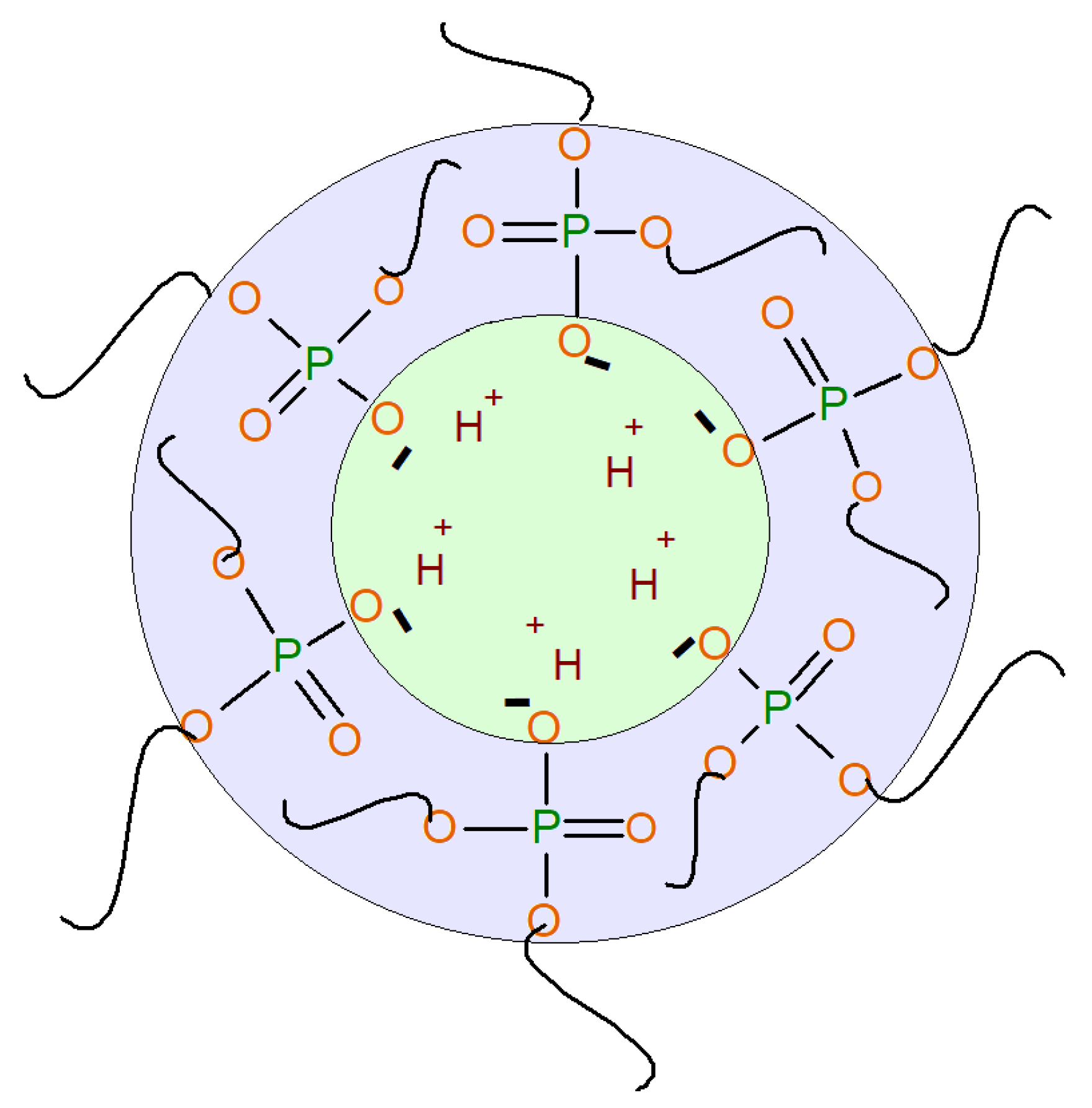 Polymers 14 03295 sch001