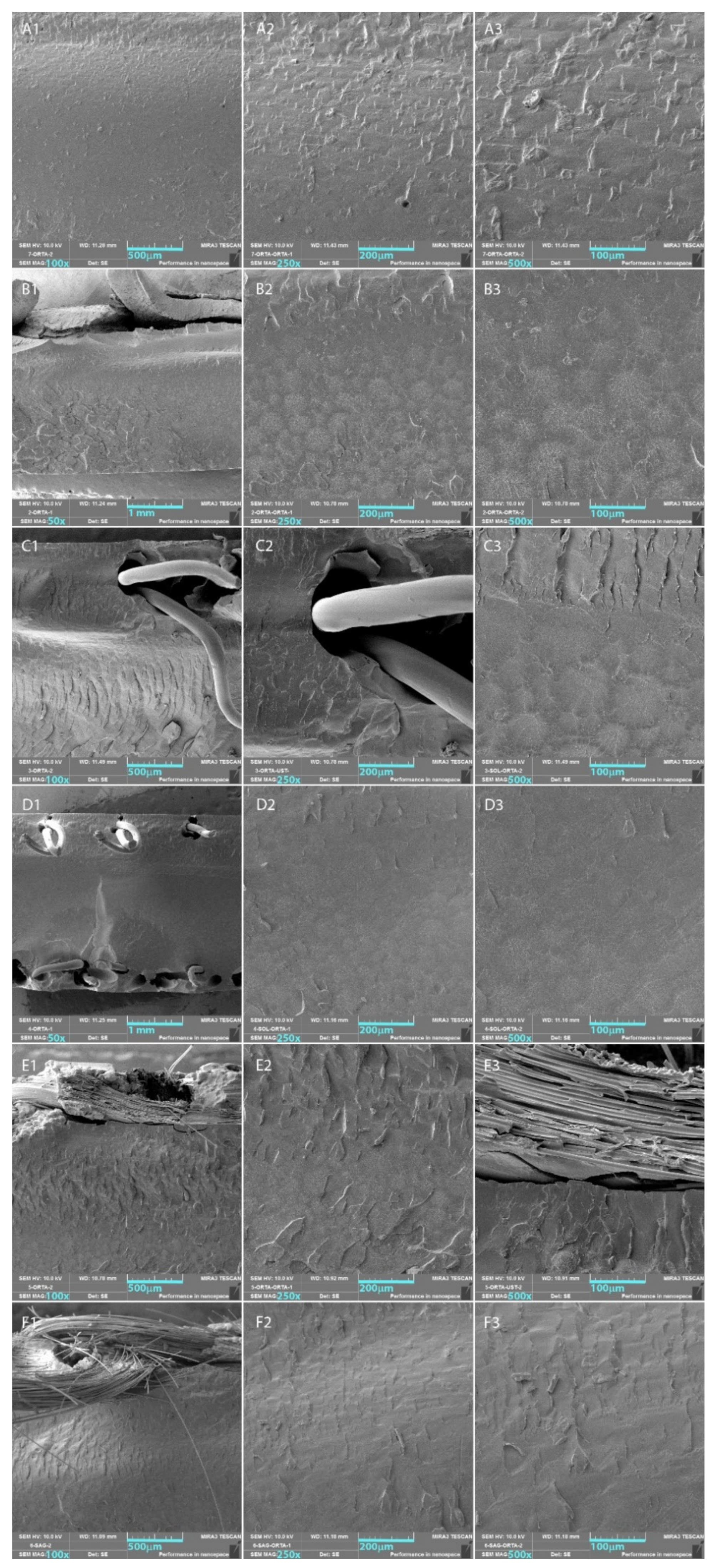 Polymers 14 03300 g003 Polymers 14 03300 g003