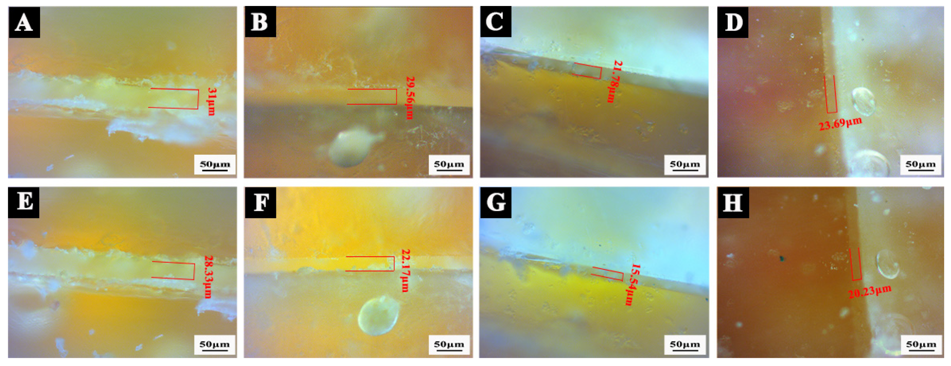 Polymers 14 03304 g015 550