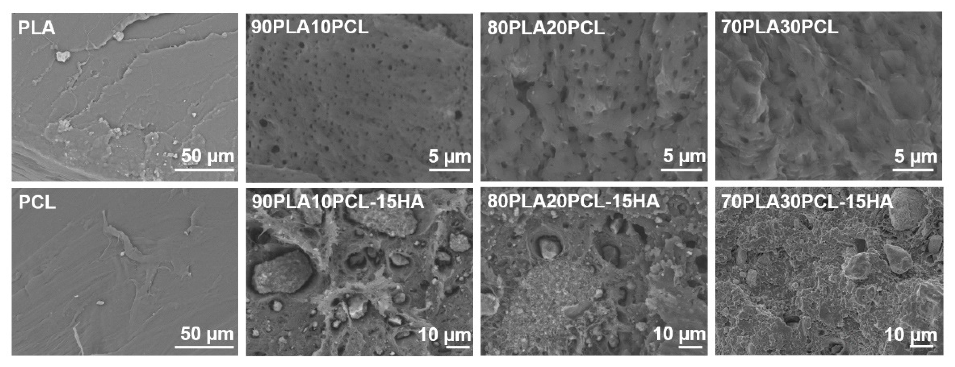 Polymers 14 03305 g002