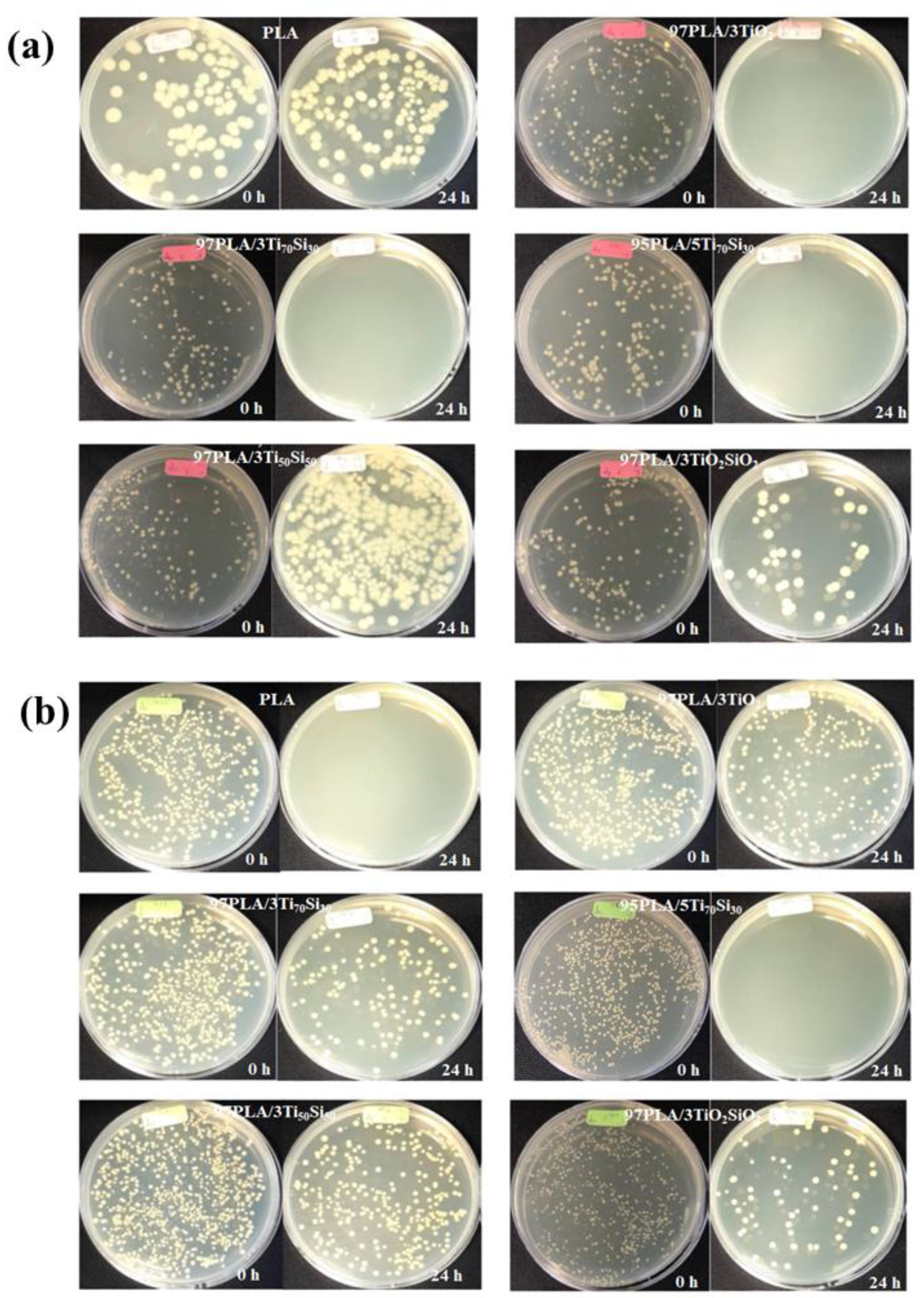 Polymers 14 03310 g012 550