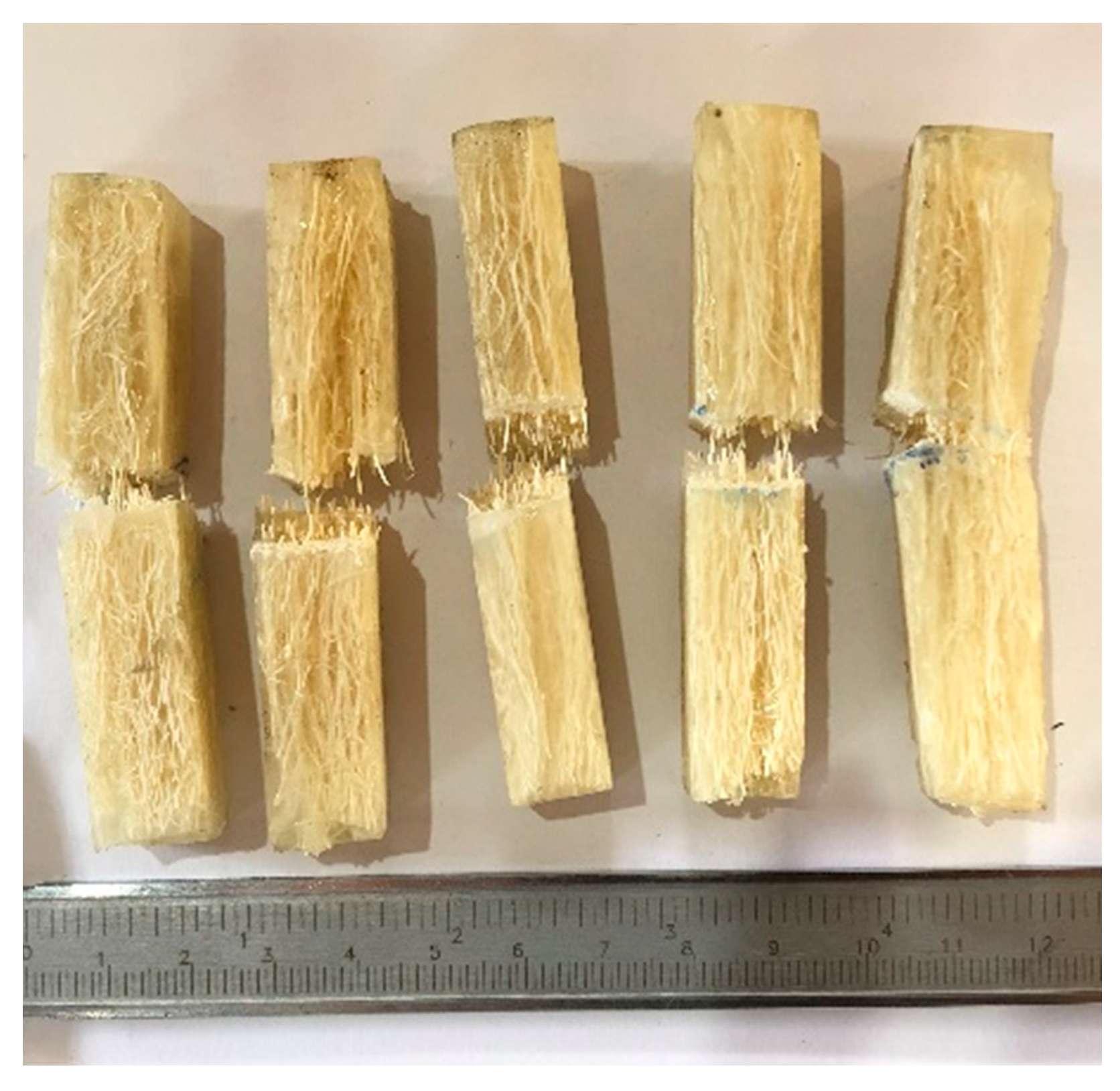 Polymers 14 03311 g002