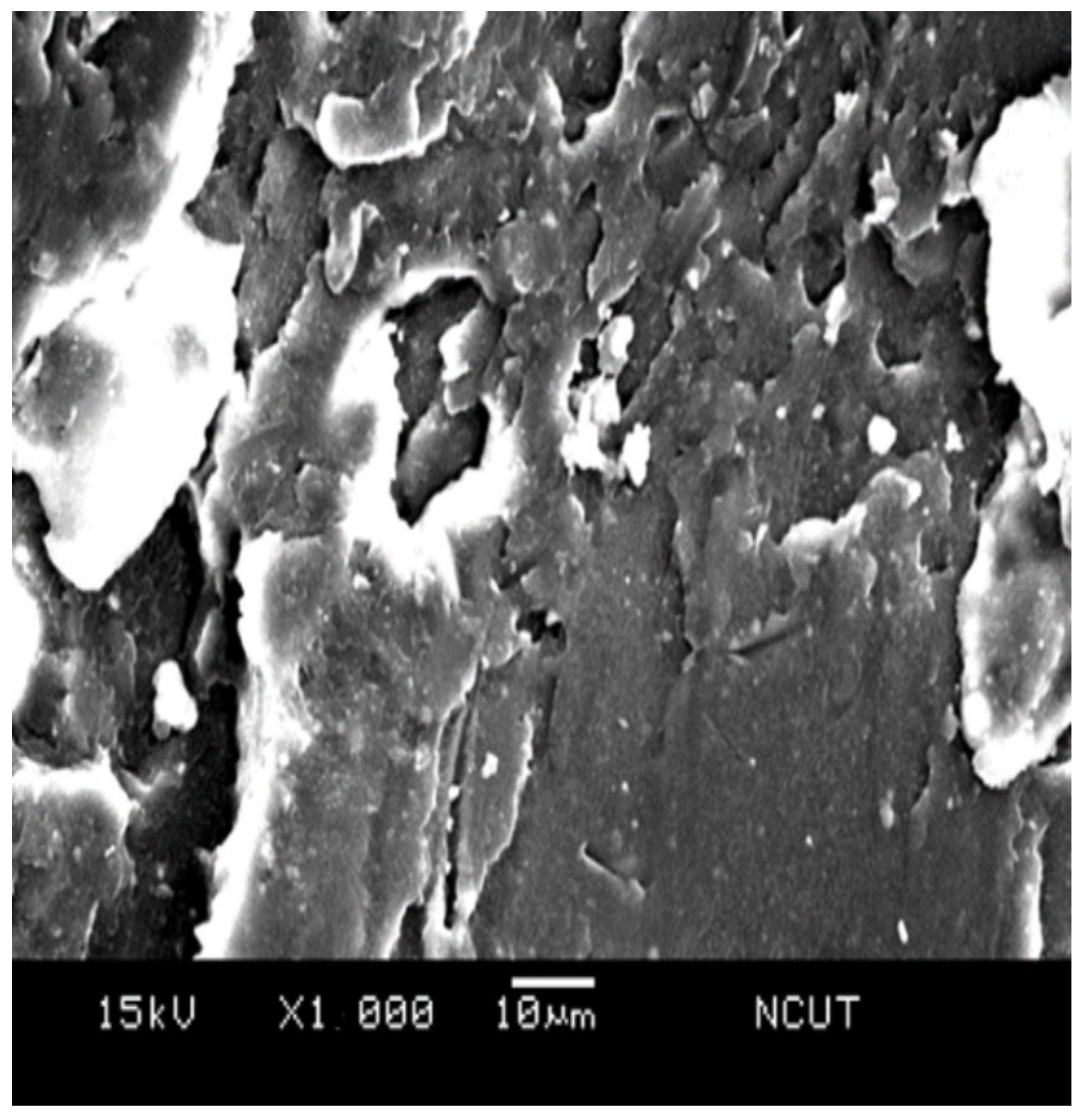 Polymers 14 03319 g018 550