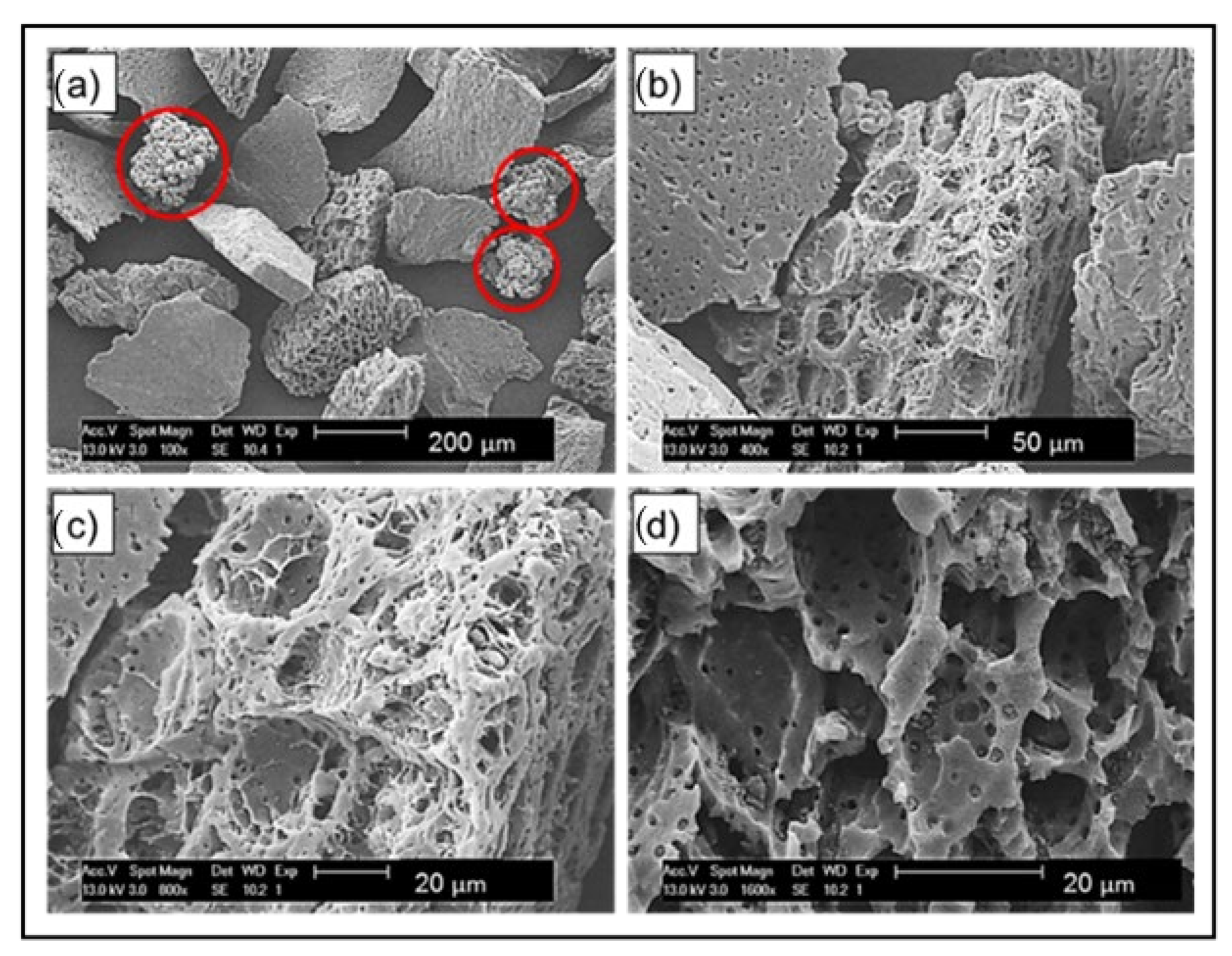 Polymers 14 03320 g002