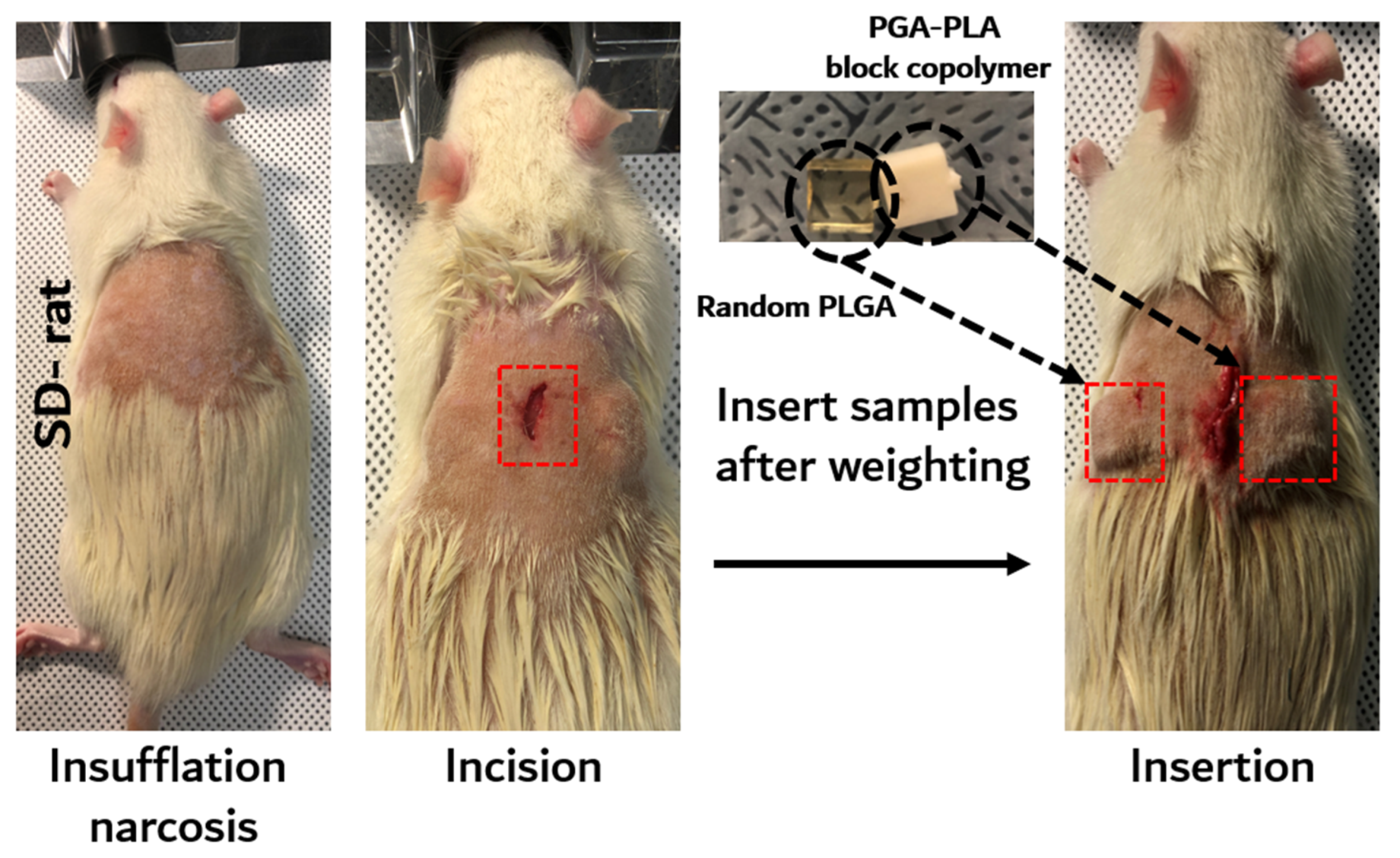 Polymers 14 03322 g002