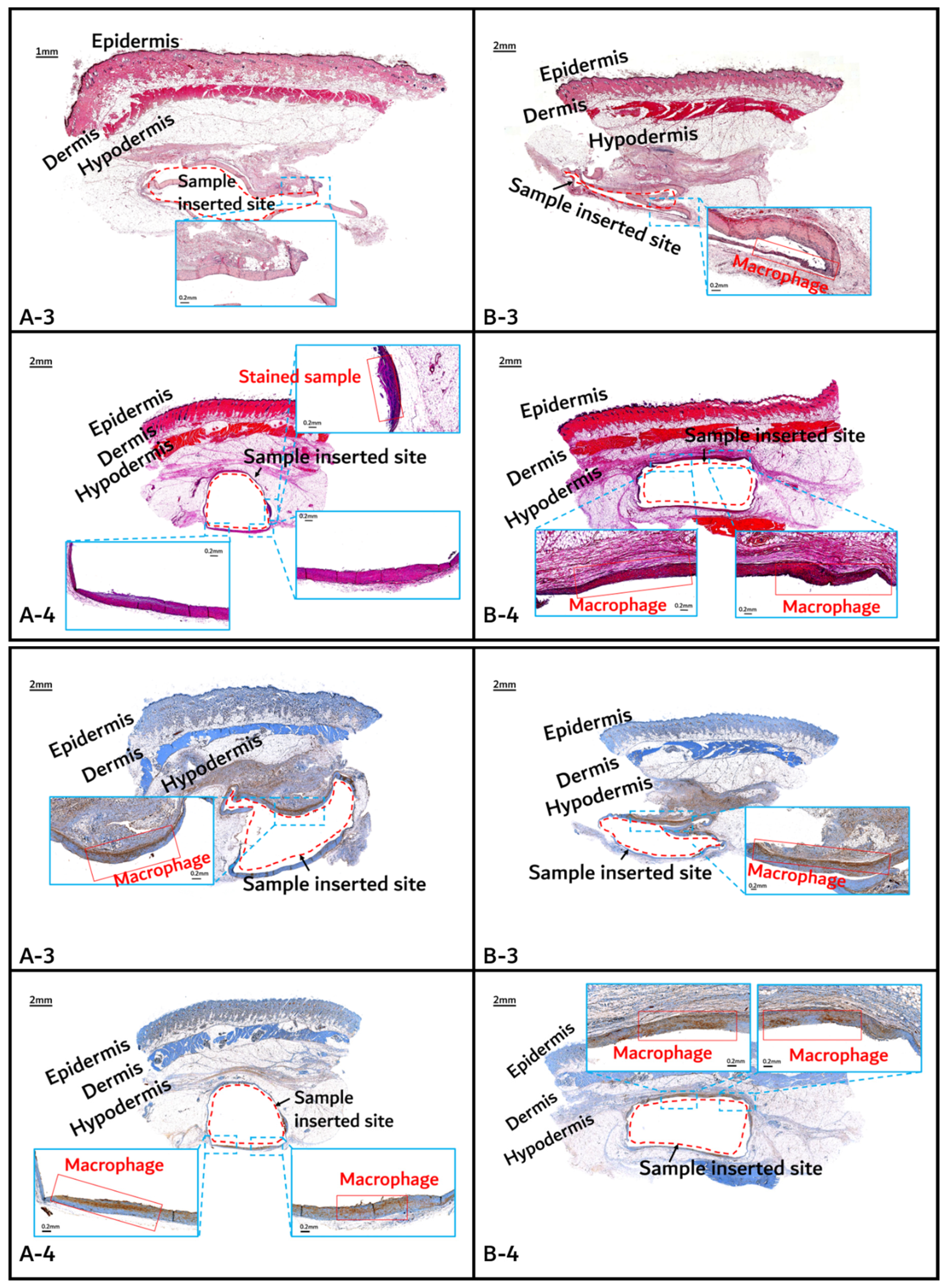 Polymers 14 03322 g012