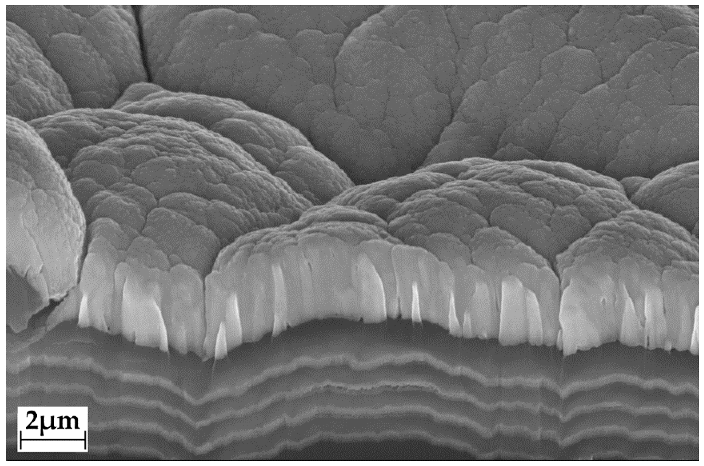 Polymers 14 03324 g001