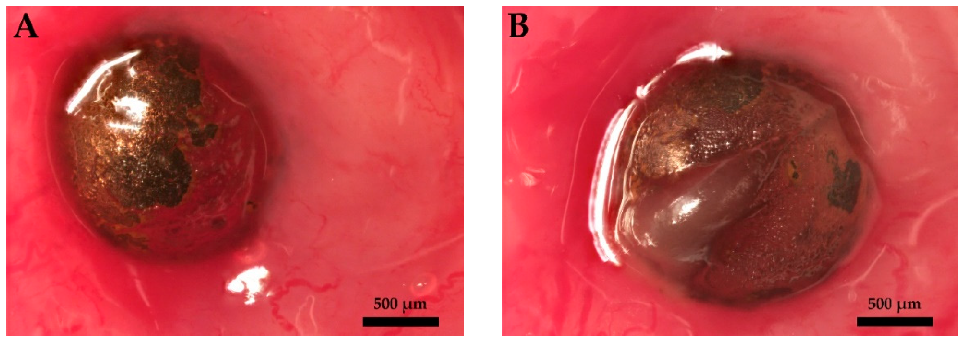 Polymers 14 03324 g004
