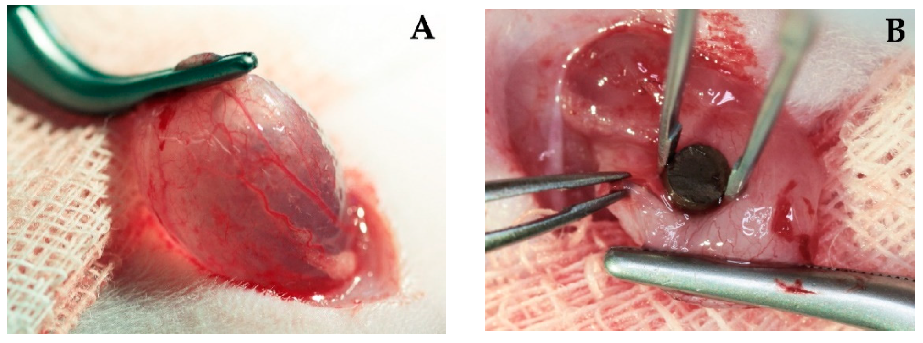 Polymers 14 03324 g010