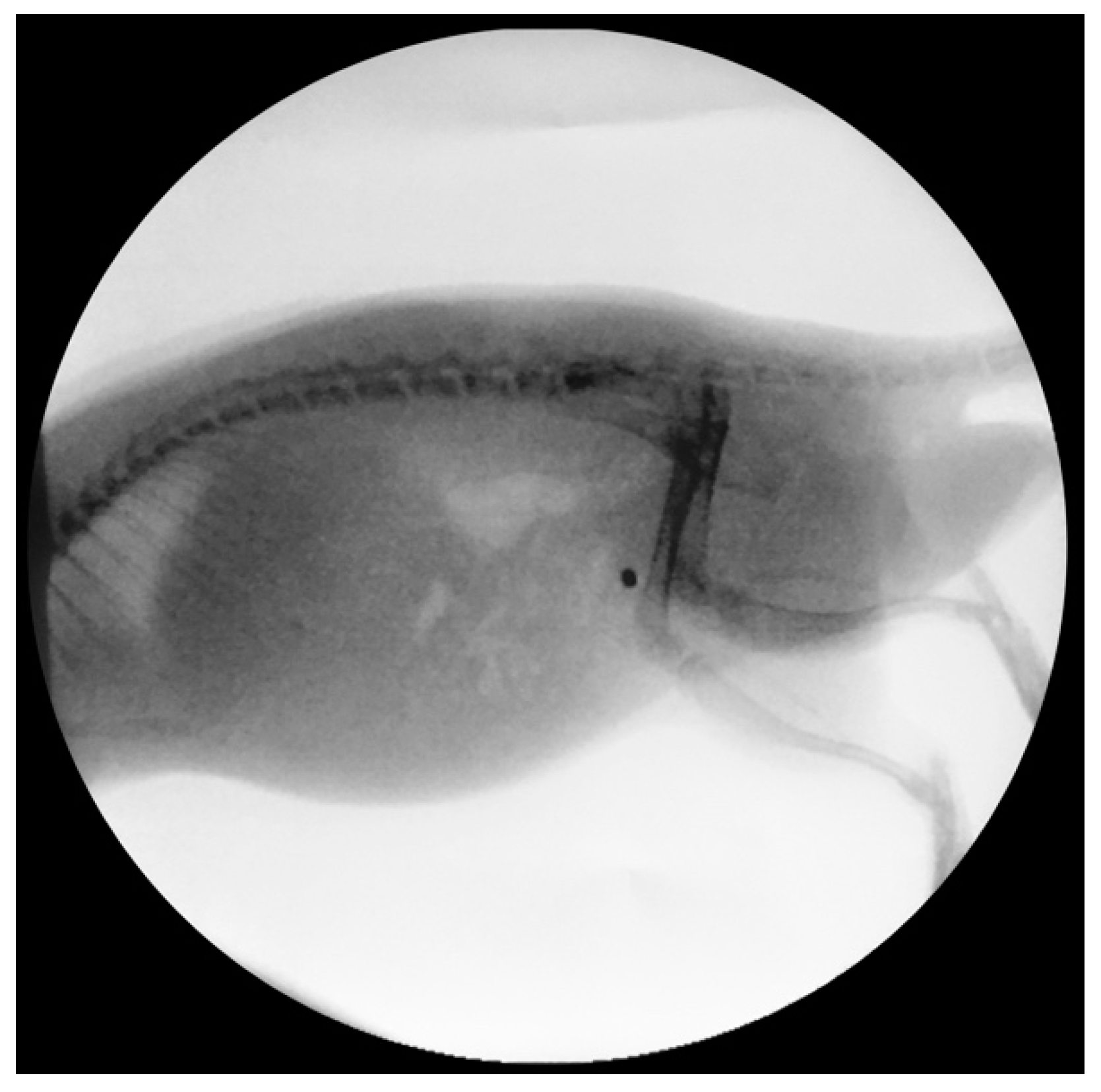 Polymers 14 03324 g011