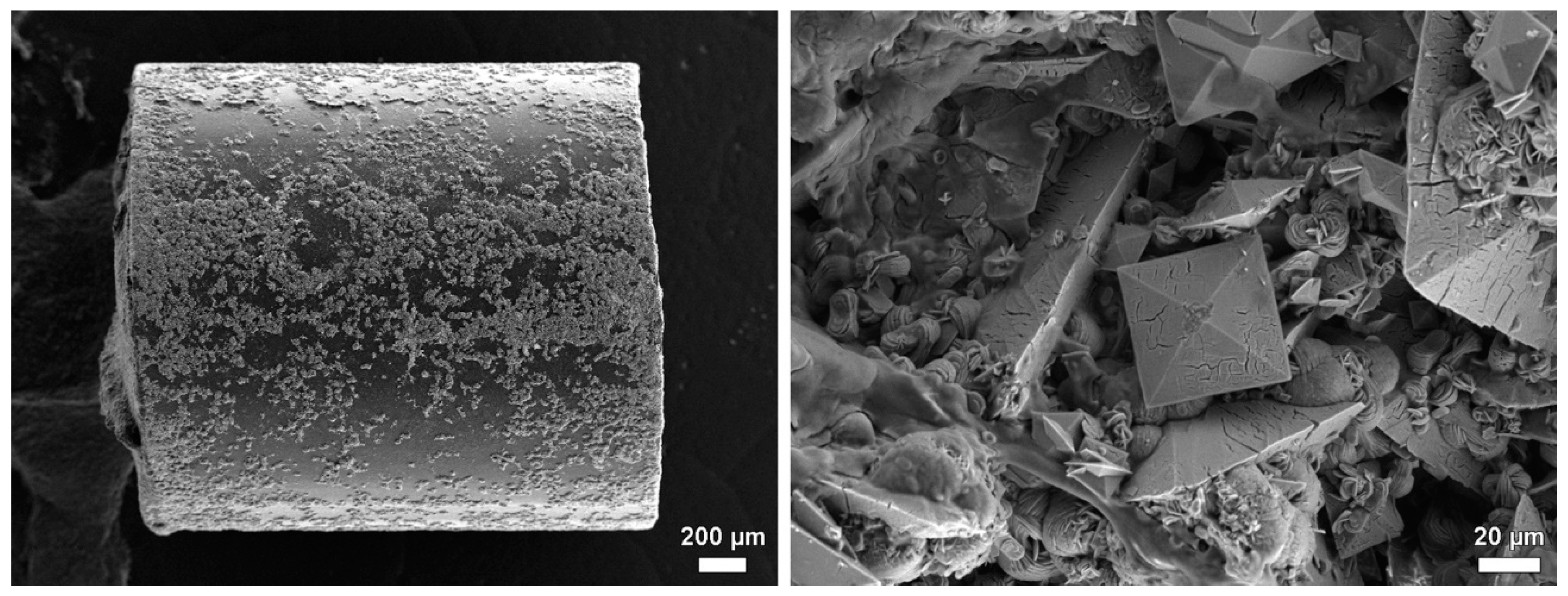 Polymers 14 03324 g012