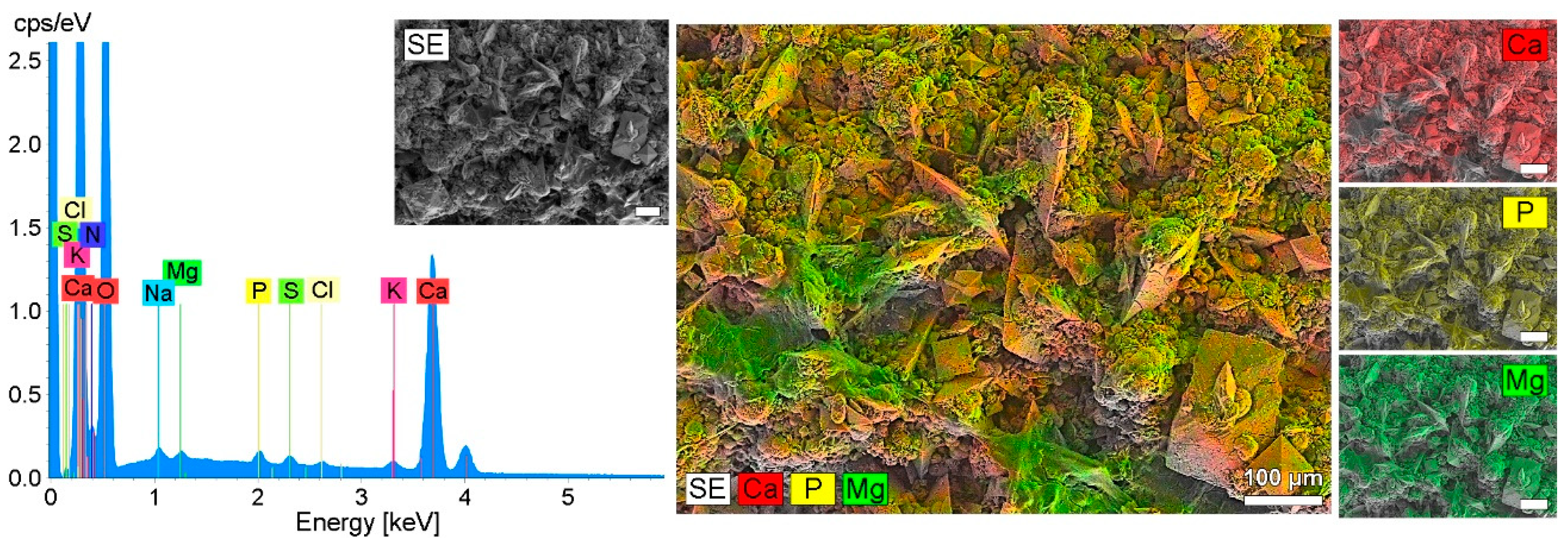 Polymers 14 03324 g013