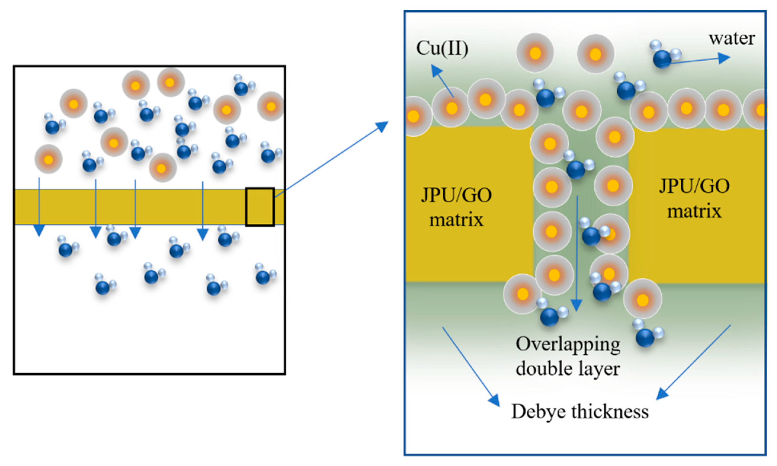 Polymers 14 03325 g002