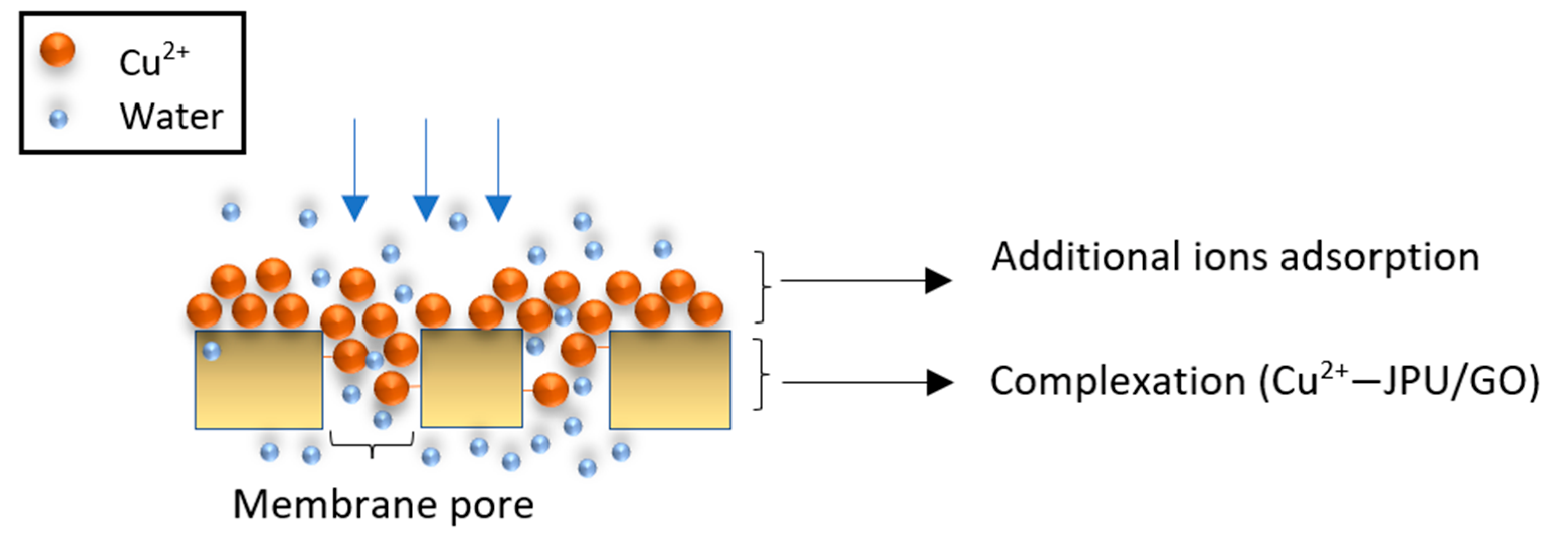 Polymers 14 03325 g004