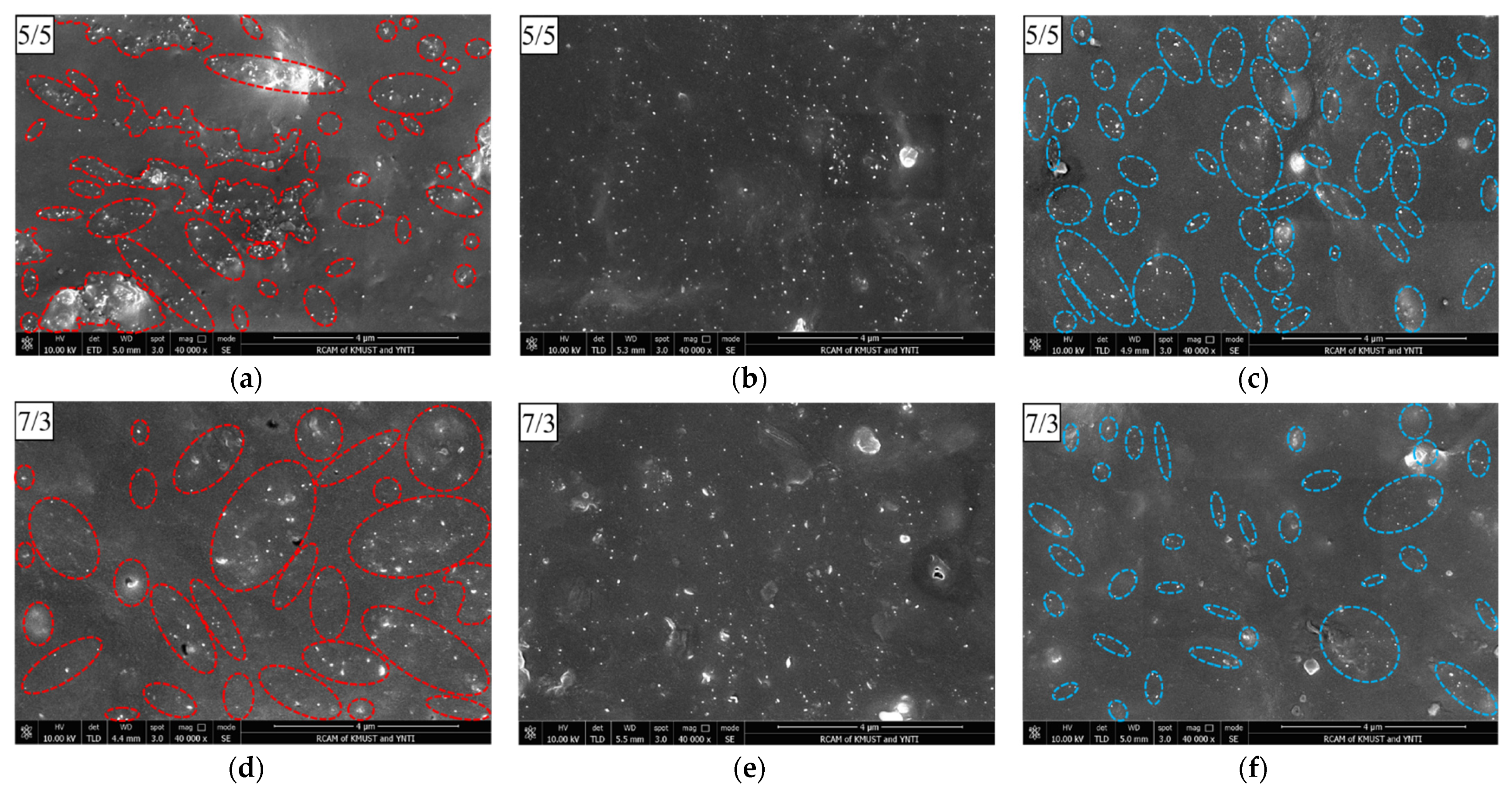 Polymers 14 03326 g009