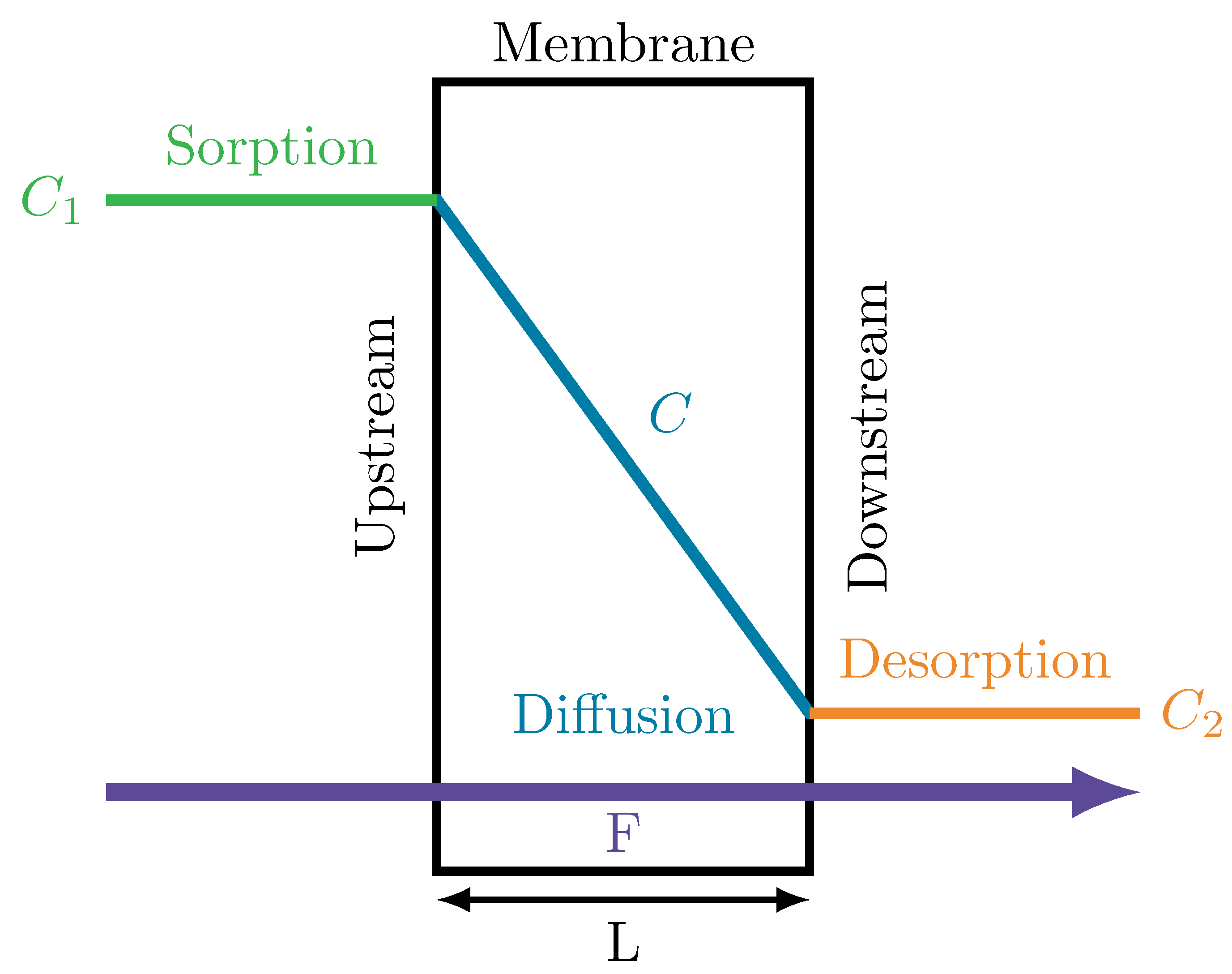 Polymers 14 03327 g001