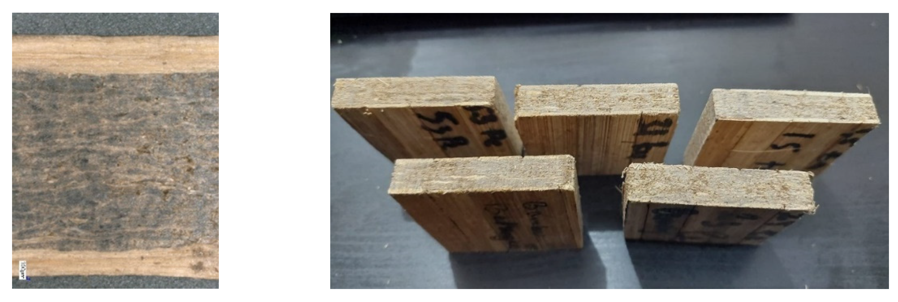 Polymers 14 03330 g001