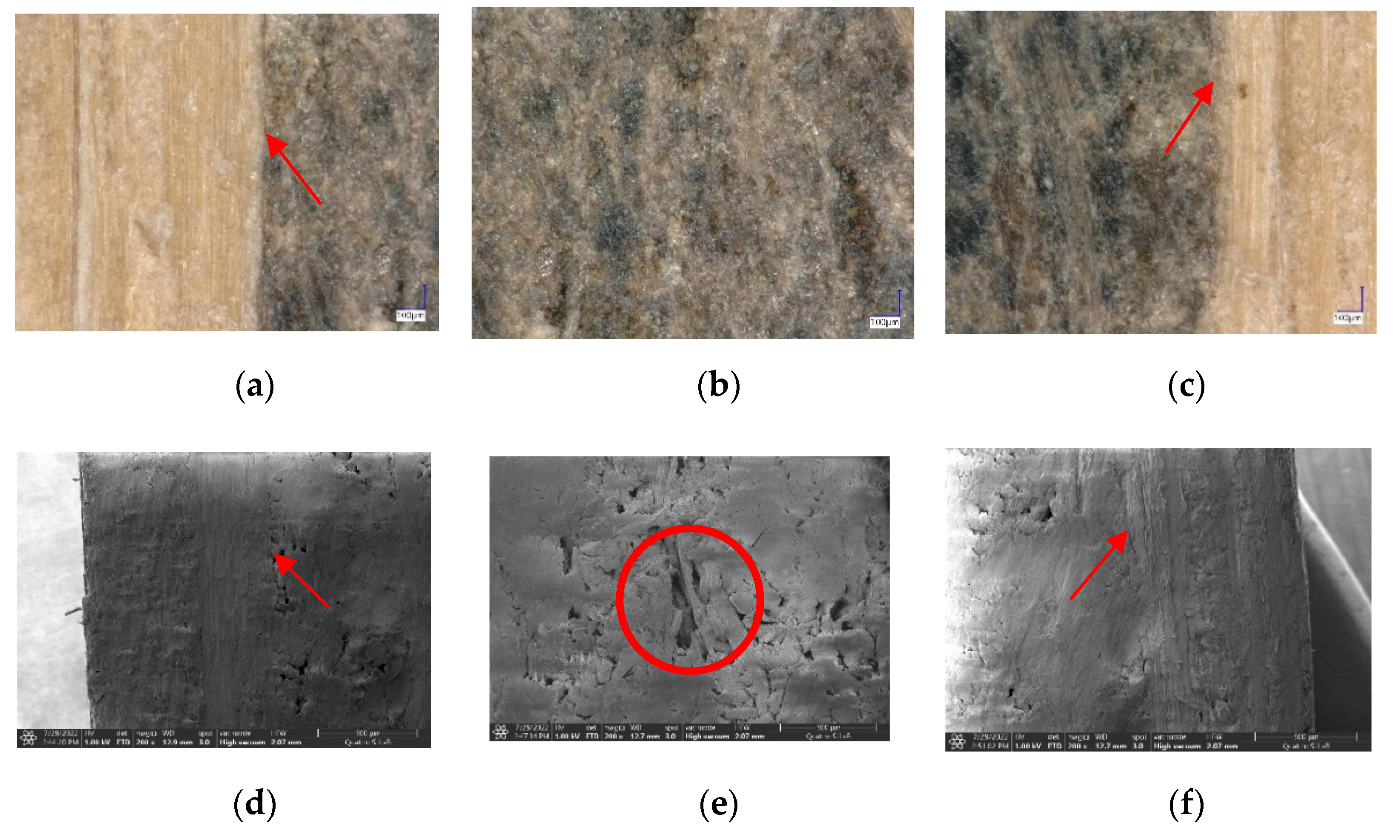 Polymers 14 03330 g006