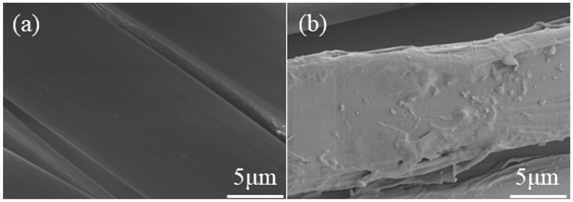 Polymers 14 03332 g003
