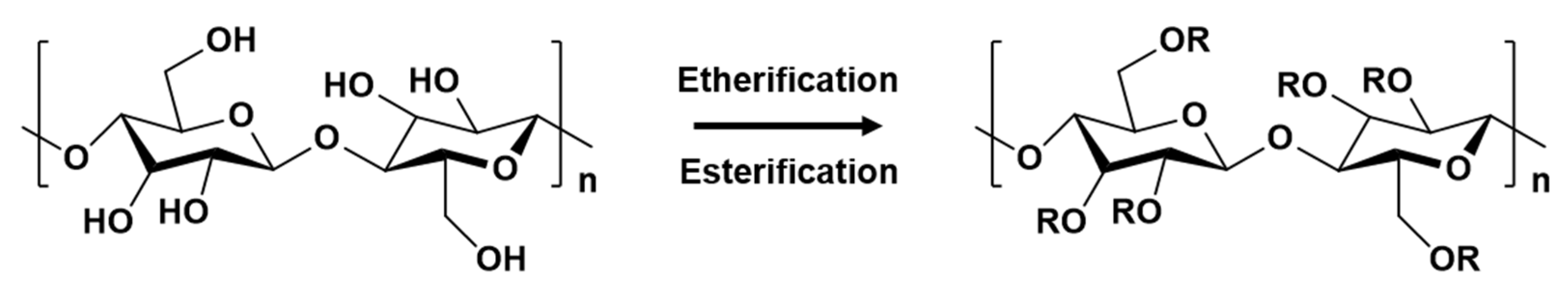 Polymers 14 03335 g004