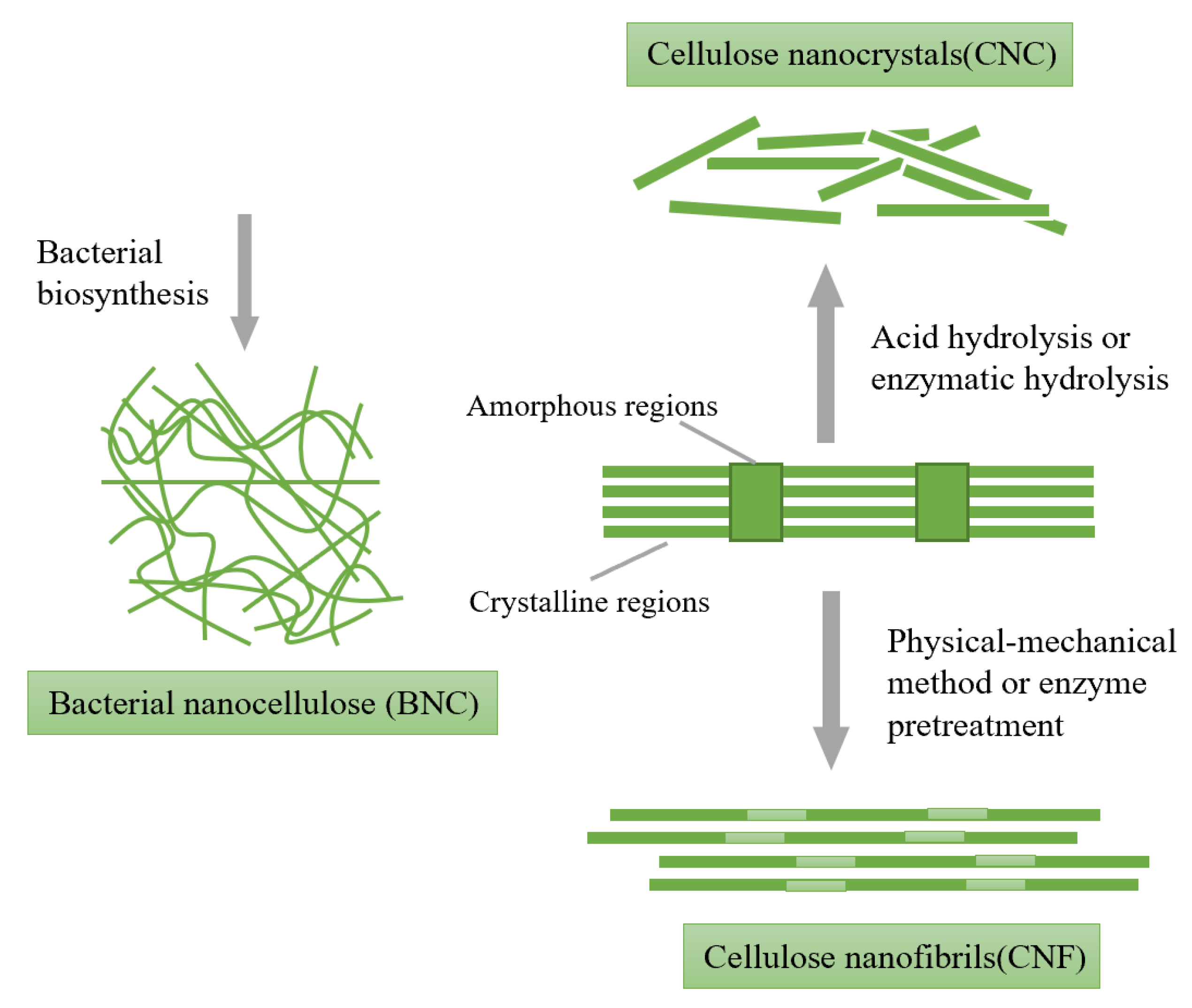 Polymers 14 03335 g006
