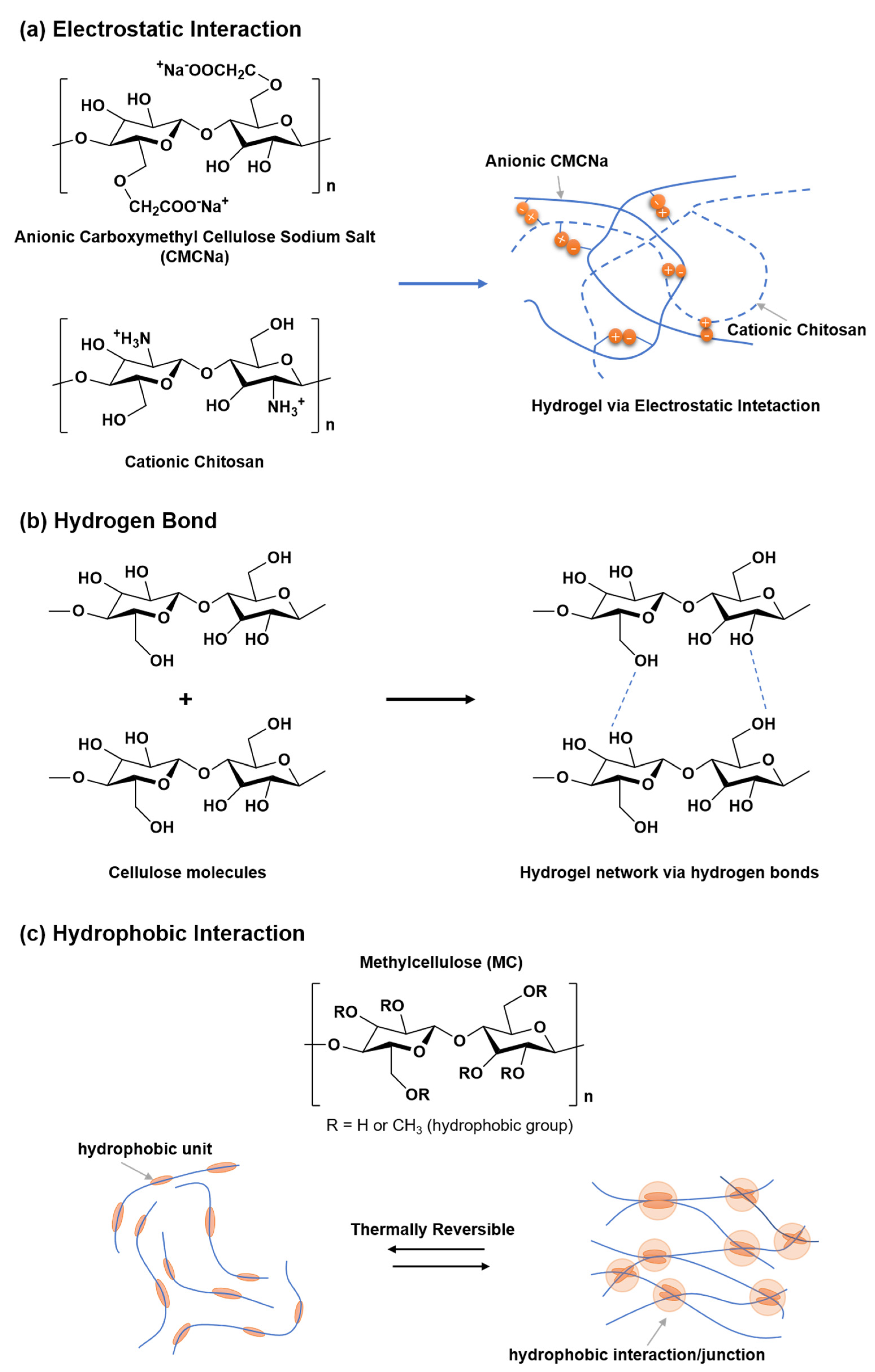 Polymers 14 03335 g007