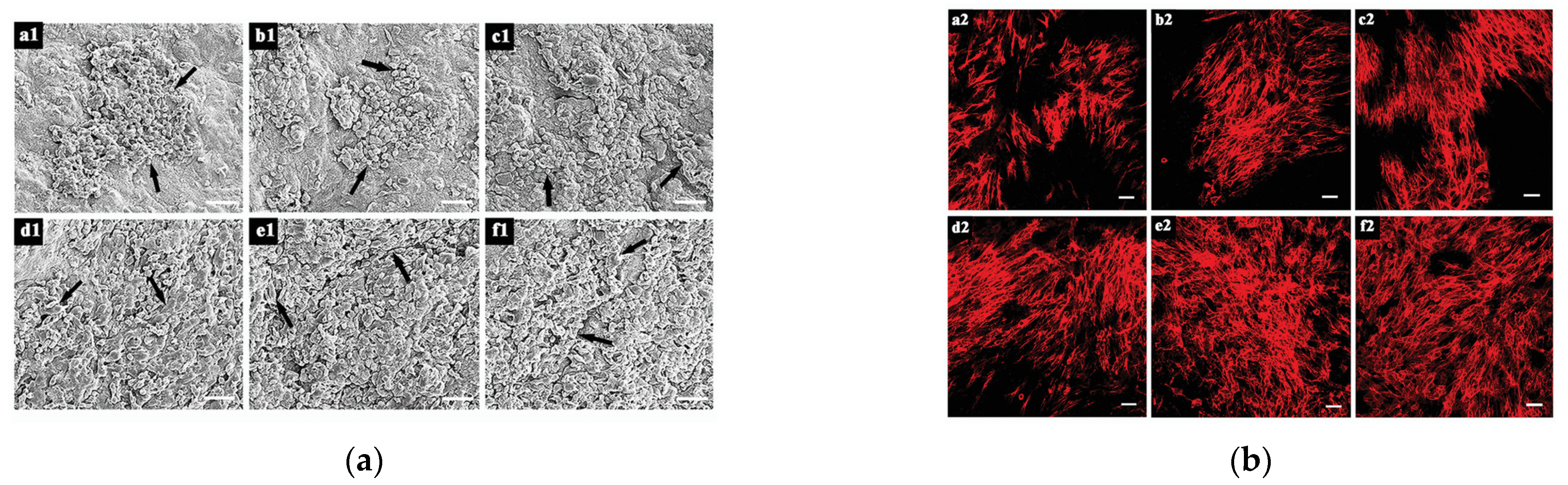 Polymers 14 03335 g008