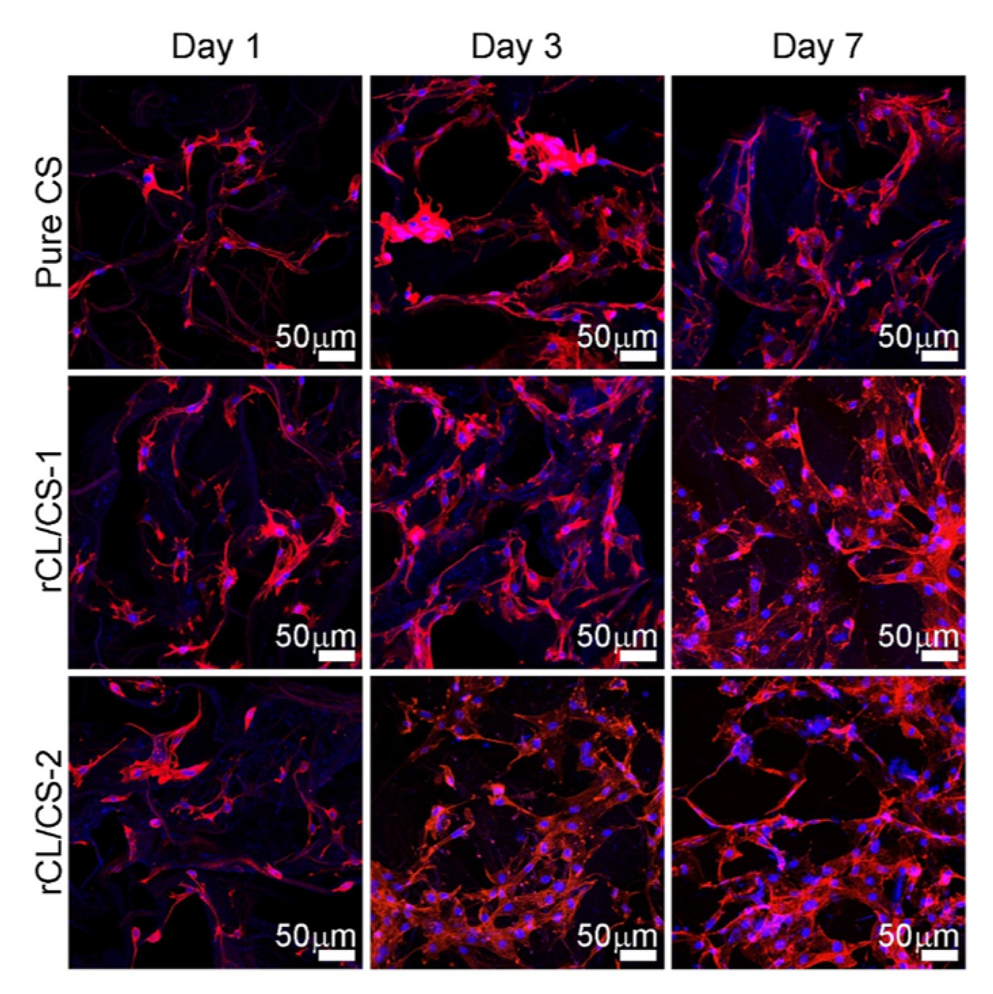 Polymers 14 03335 g011