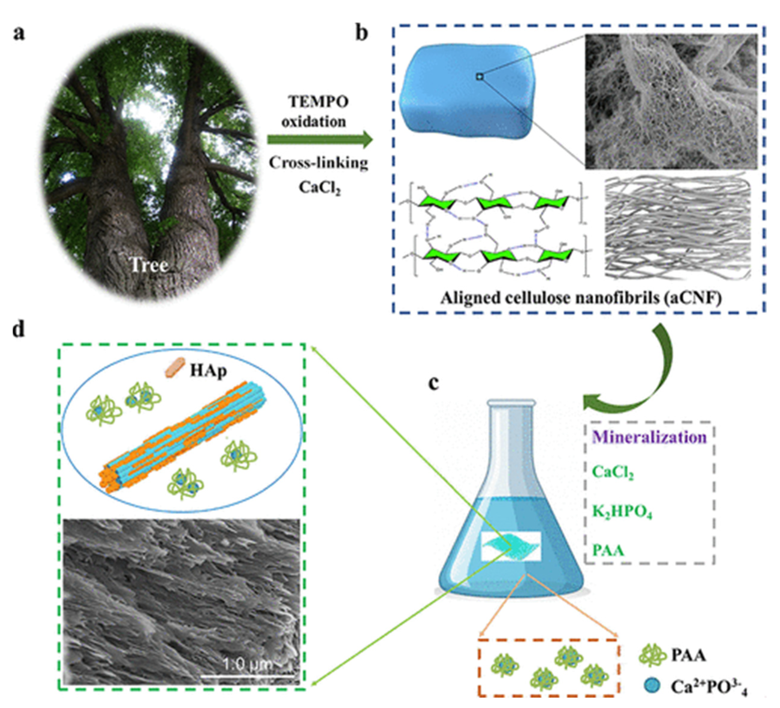 Polymers 14 03335 g012