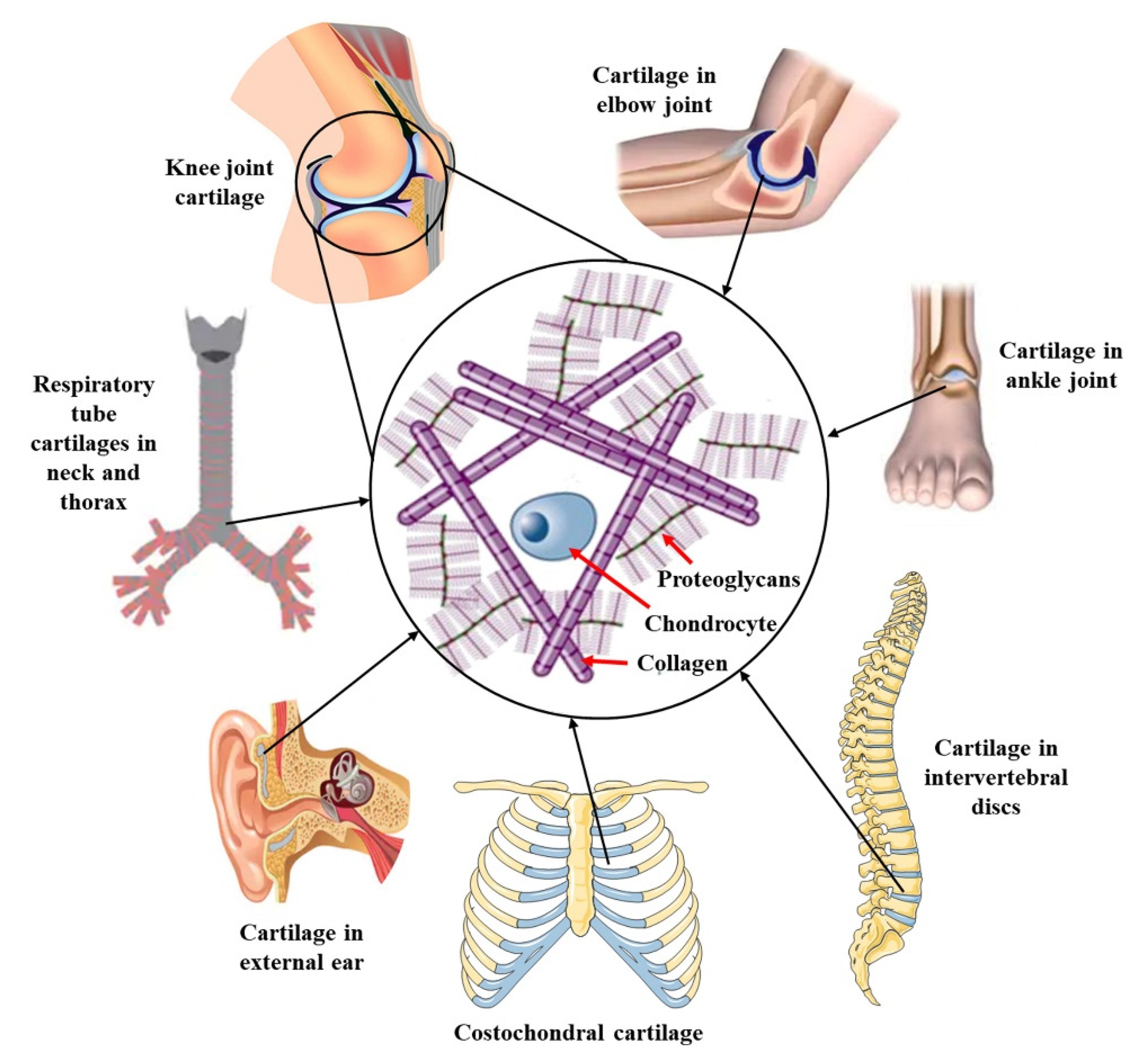 Polymers 14 03335 g013
