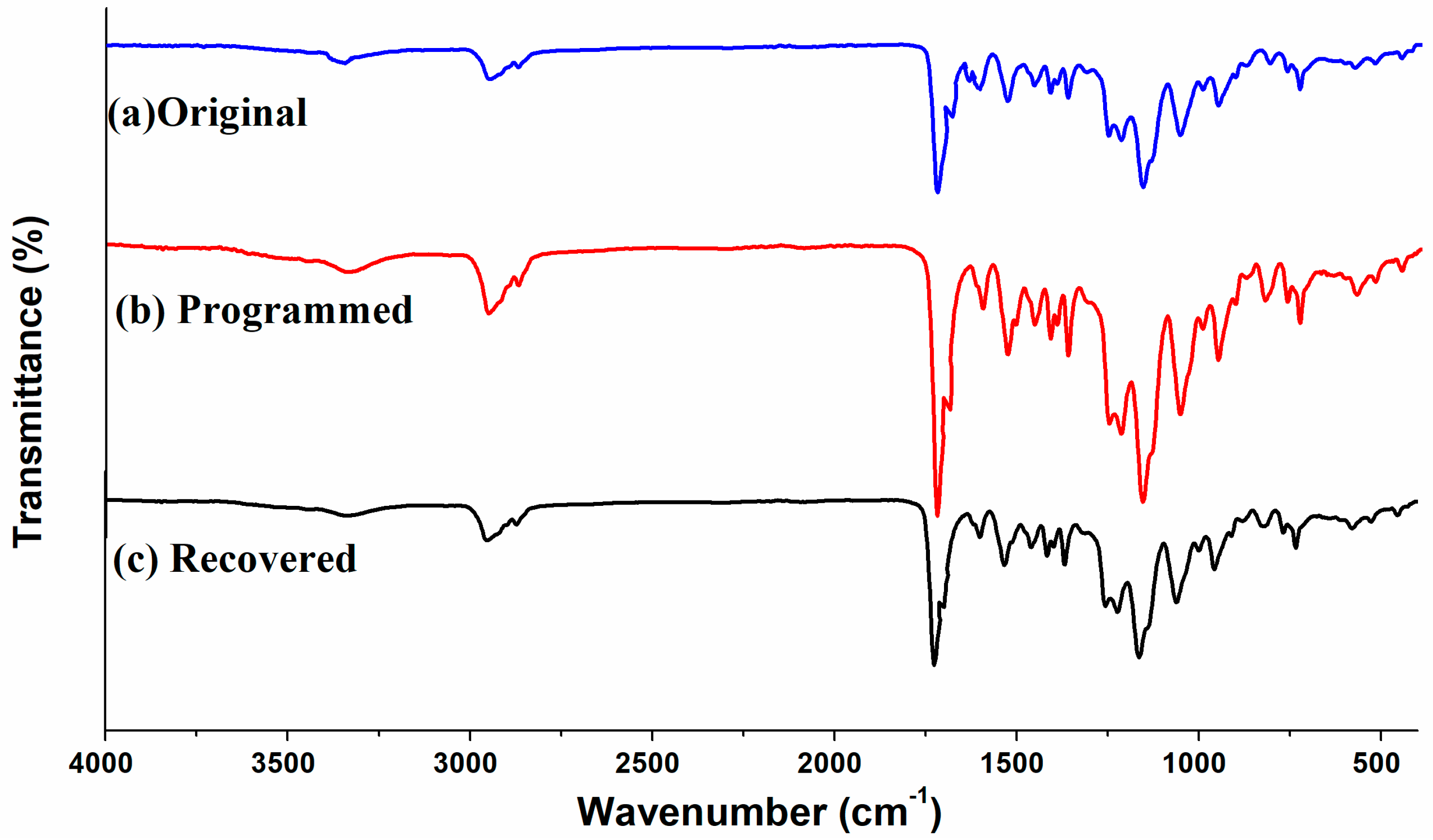 Polymers 14 03336 g006