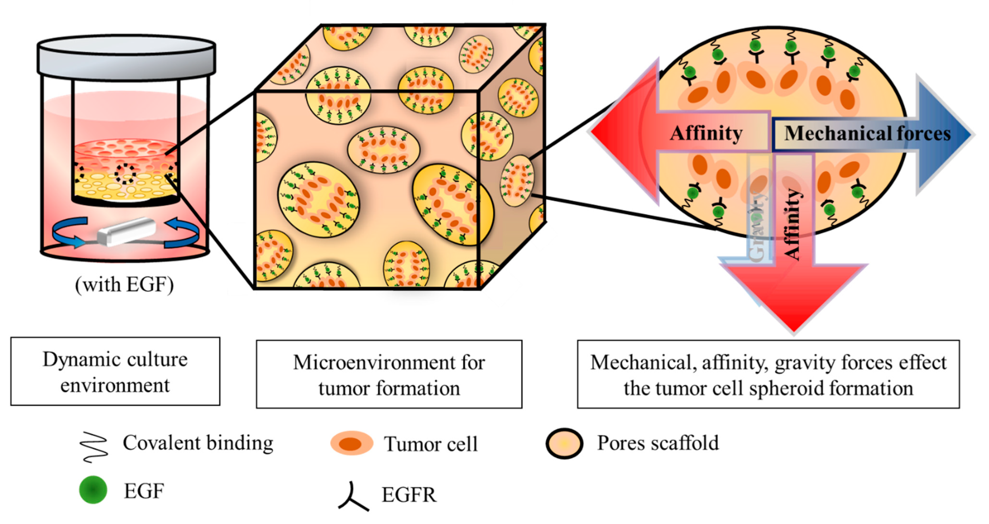 Polymers 14 03340 g001