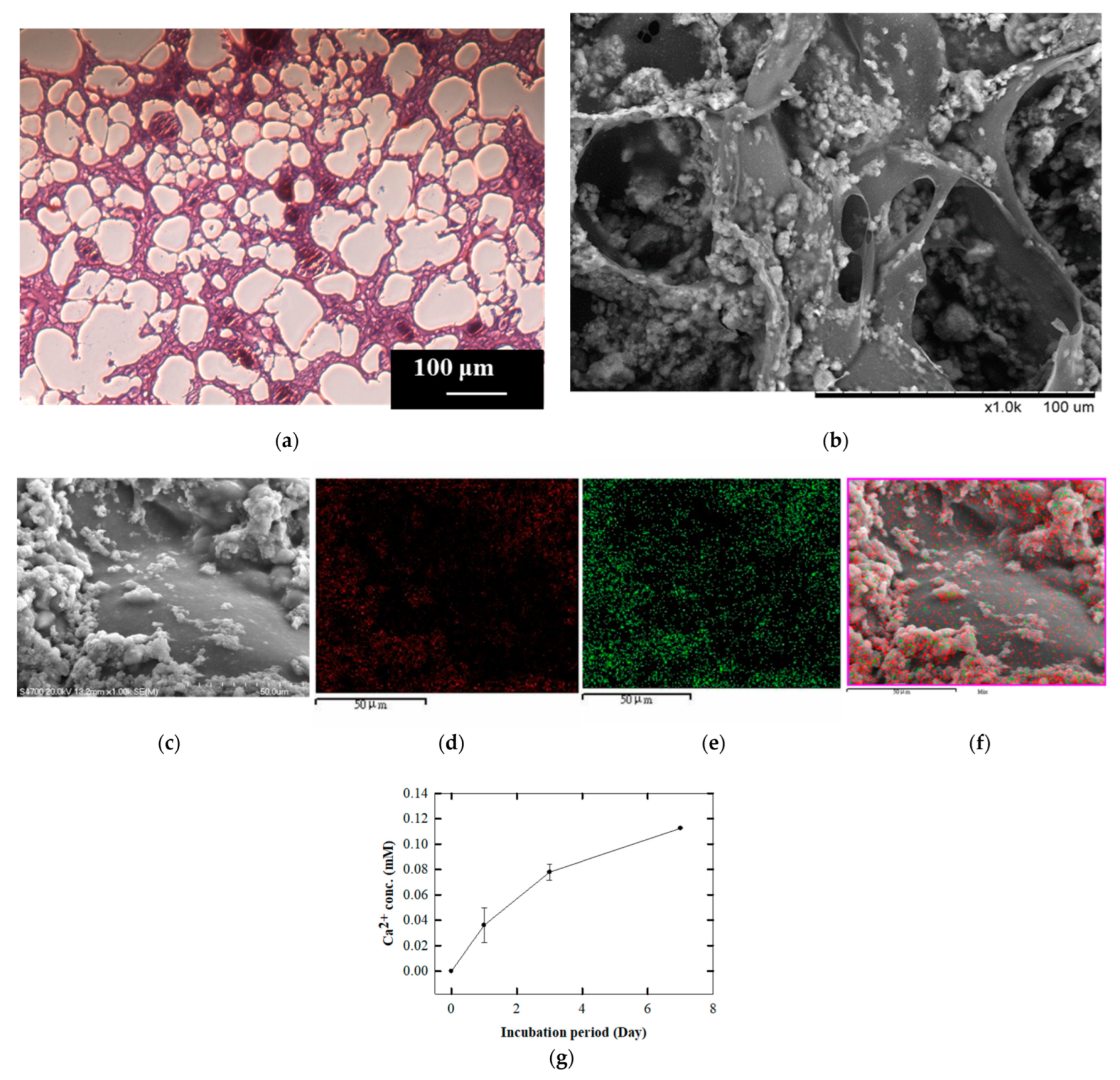 Polymers 14 03340 g003