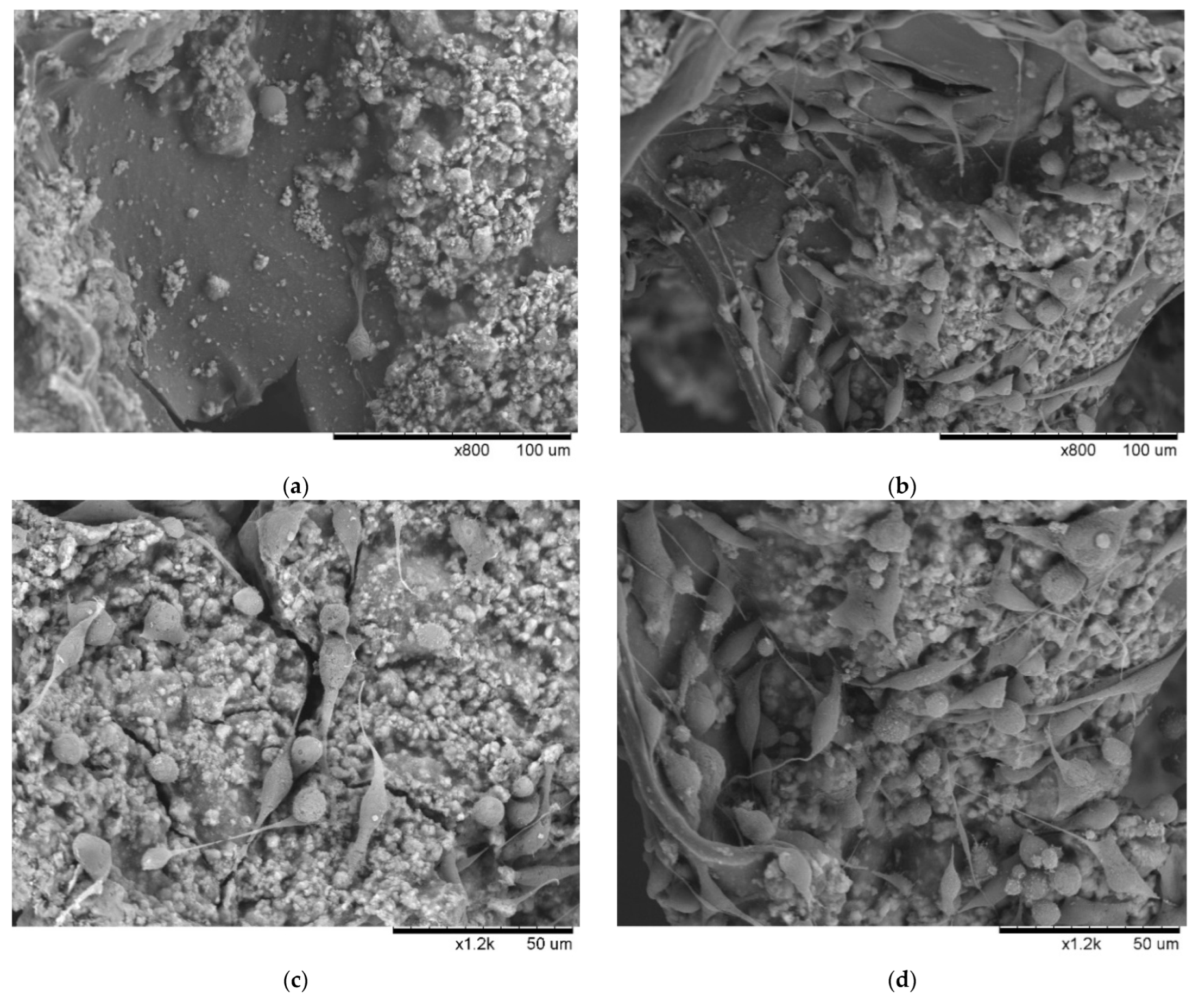 Polymers 14 03340 g004
